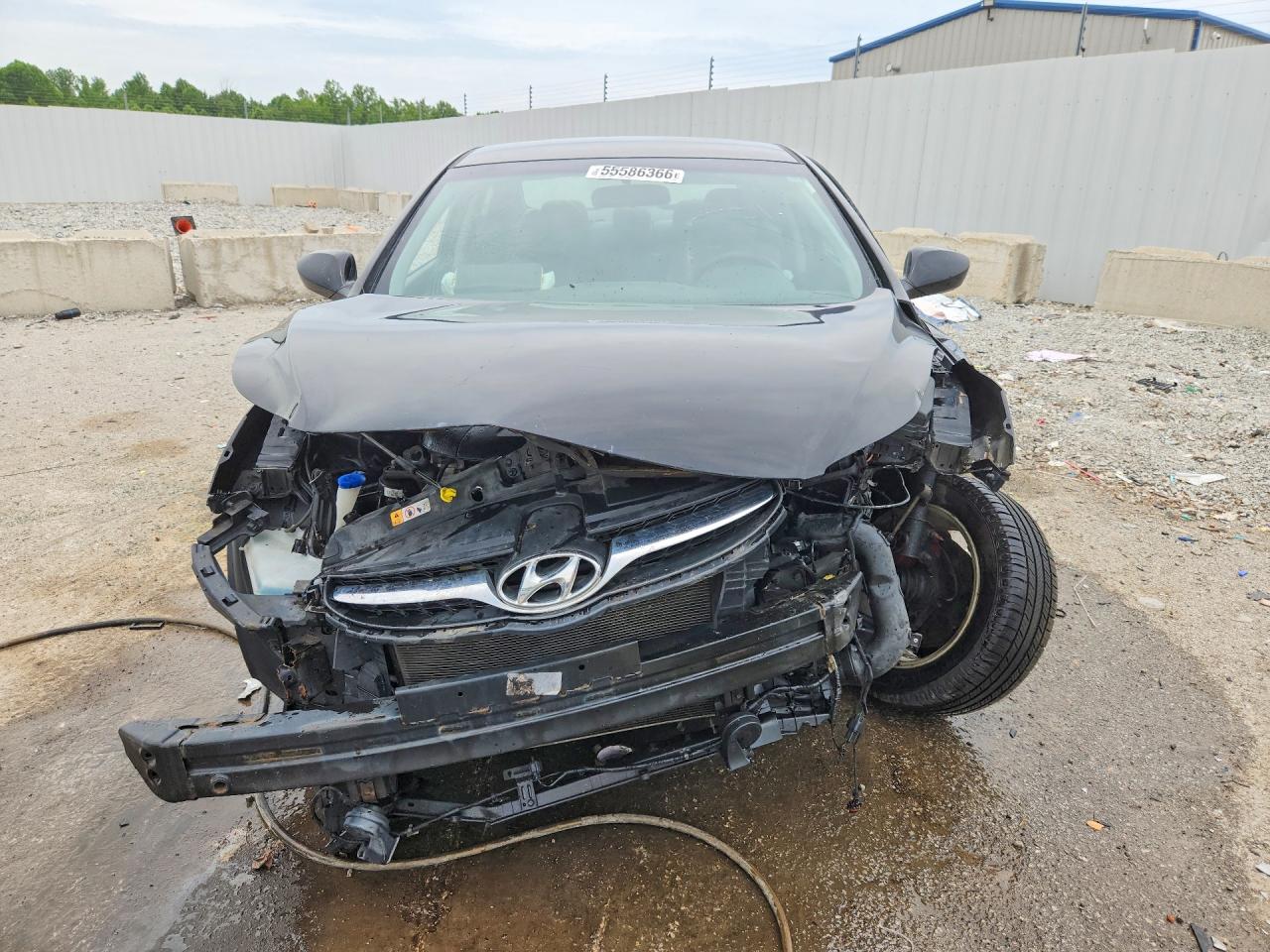 2012 Hyundai Elantra Gls Black vin: KMHDH4AE1CU224690