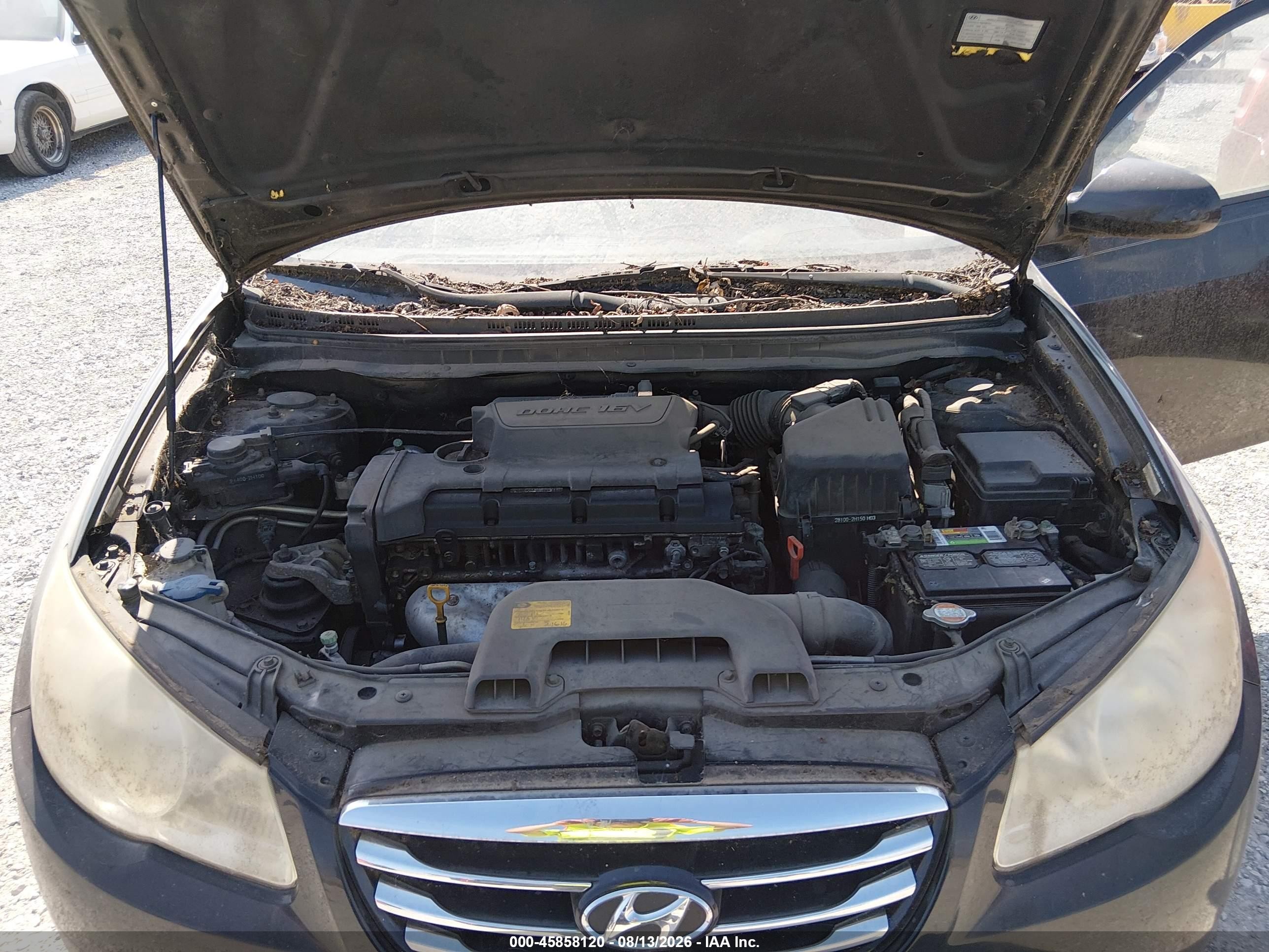 2010 Hyundai Elantra Gls Black vin: KMHDU4AD4AU977601