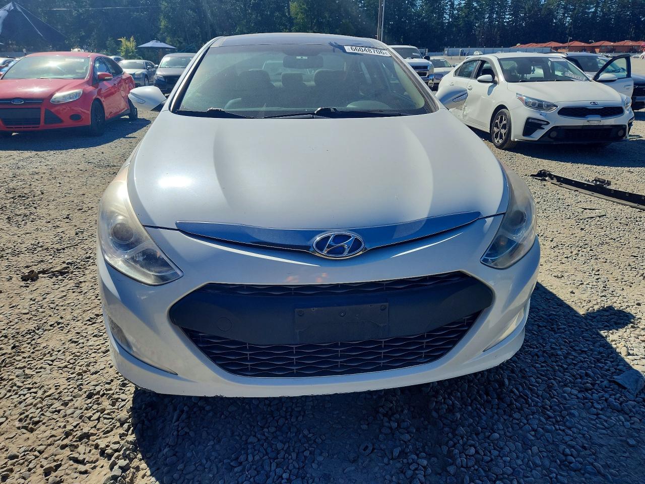 2013 Hyundai Sonata Hybrid White vin: KMHEC4A48DA076096