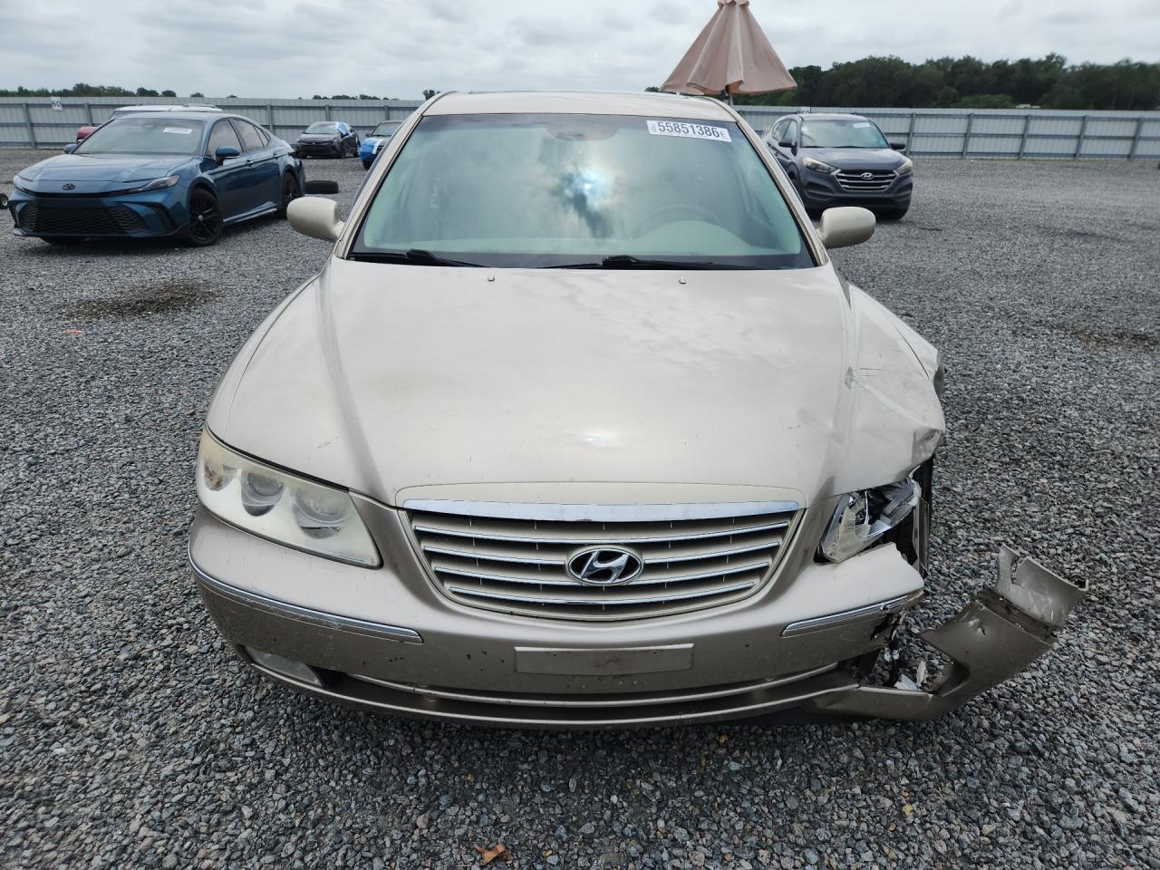 2006 Hyundai Azera Se Золотой vin: KMHFC46F36A050524