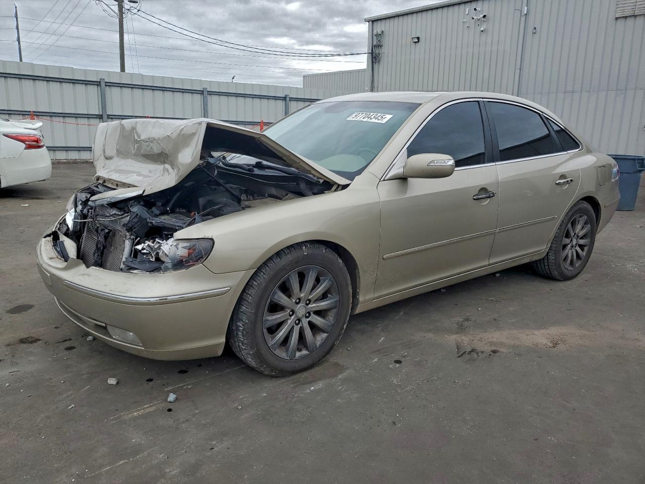 2009 Hyundai Azera Se Beige vin: KMHFC46F49A364560