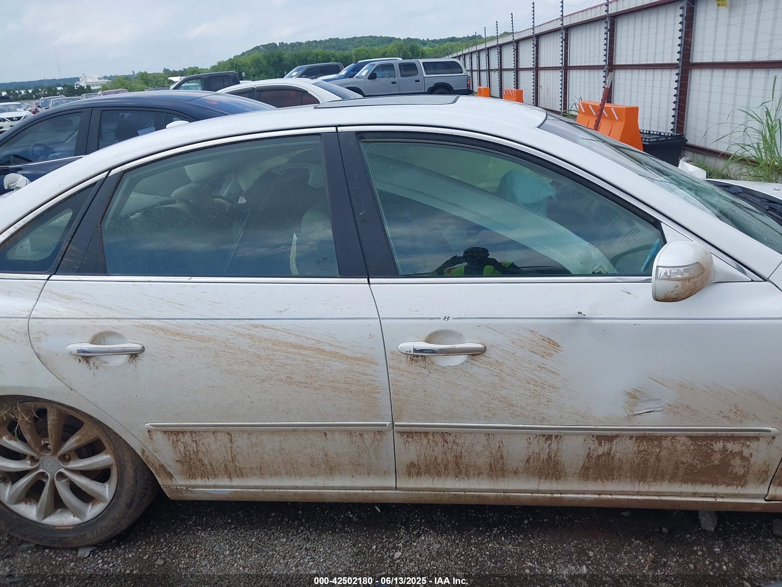 2009 Hyundai Azera Limited Beige vin: KMHFC46F79A358185