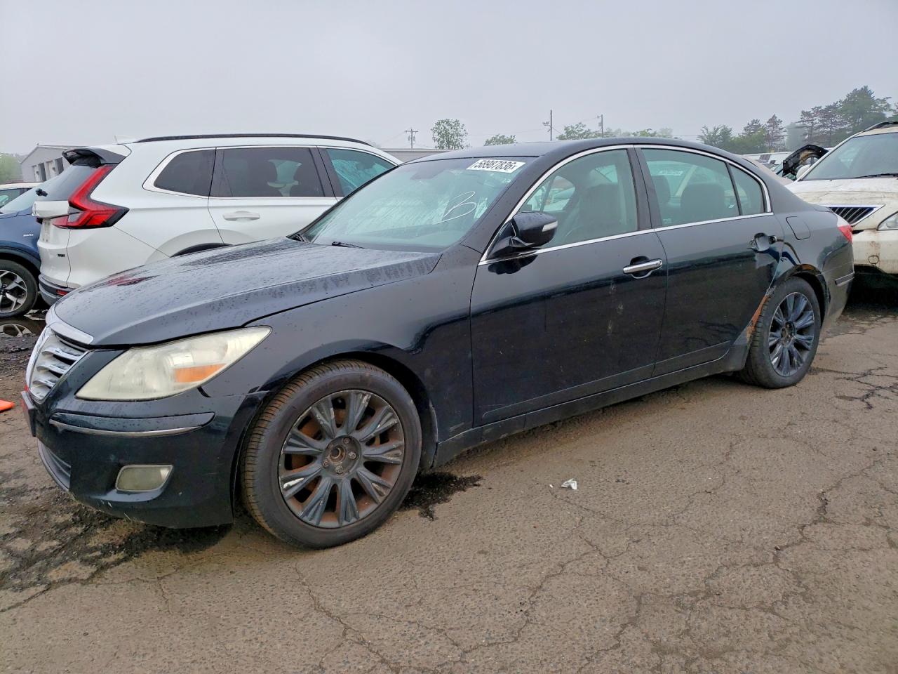 2009 Hyundai Genesis 3.8l Black vin: KMHGC46E09U030391