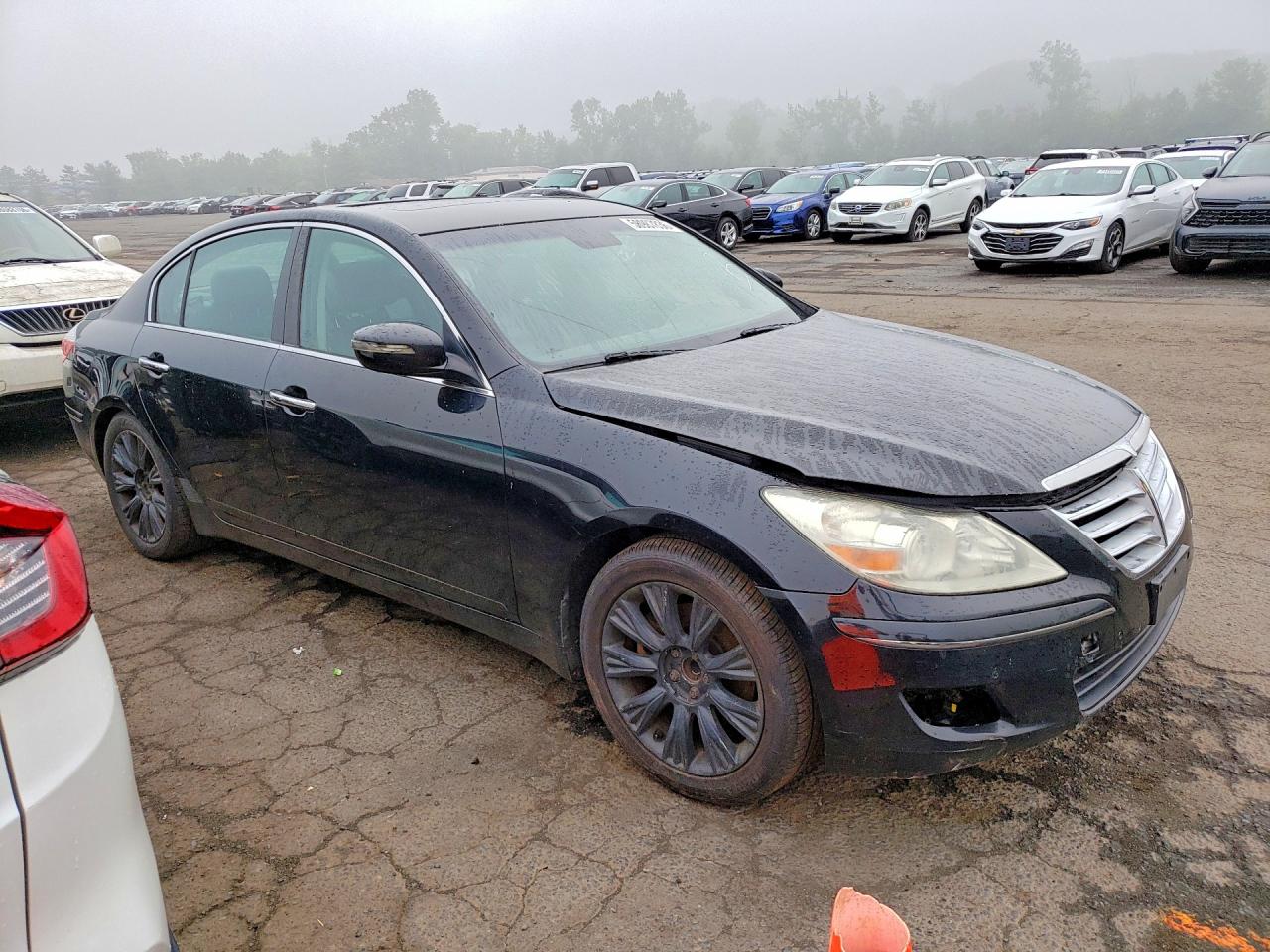 2009 Hyundai Genesis 3.8l Black vin: KMHGC46E09U030391