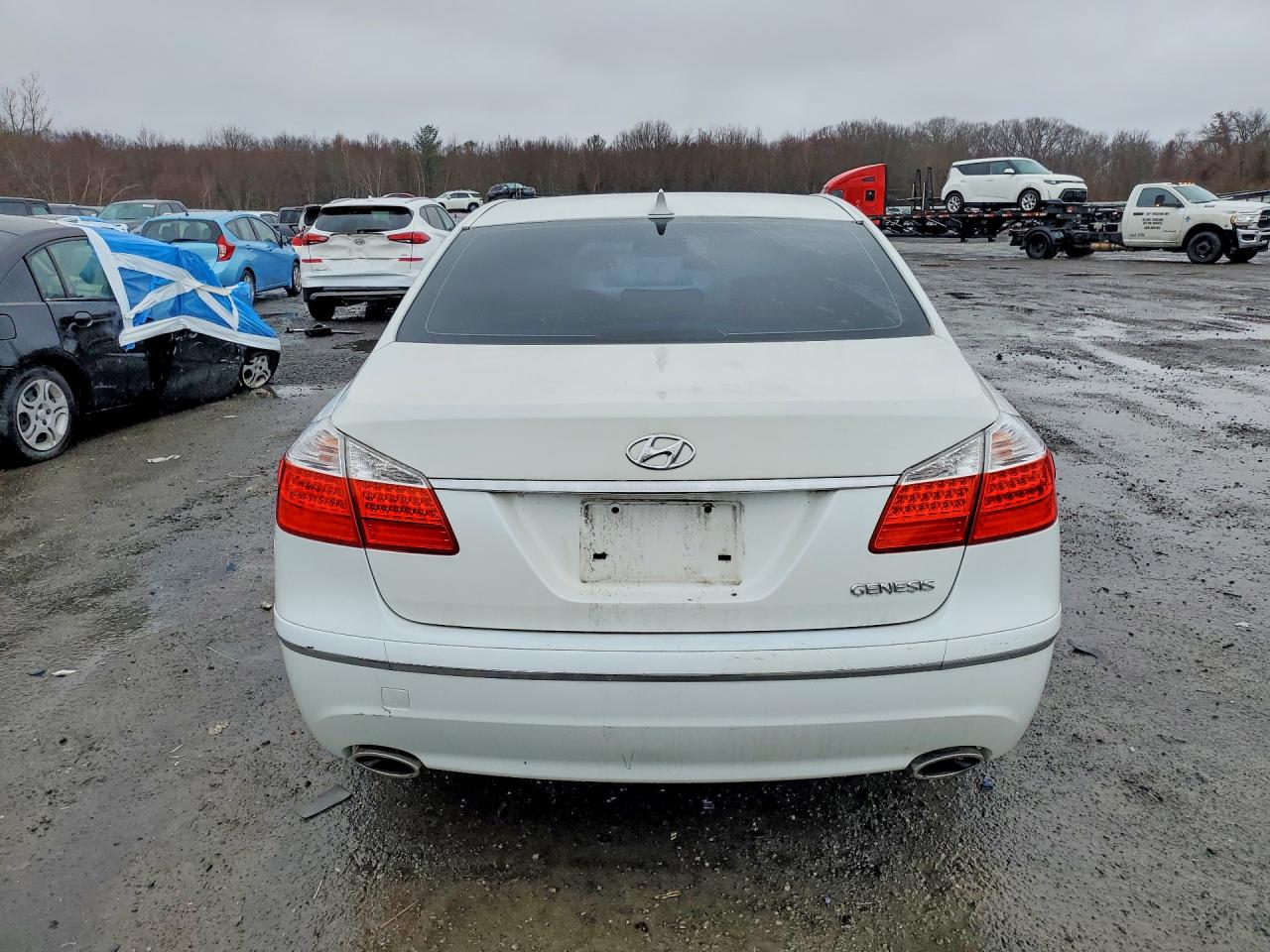 2009 Hyundai Genesis 3.8l White vin: KMHGC46E09U061026