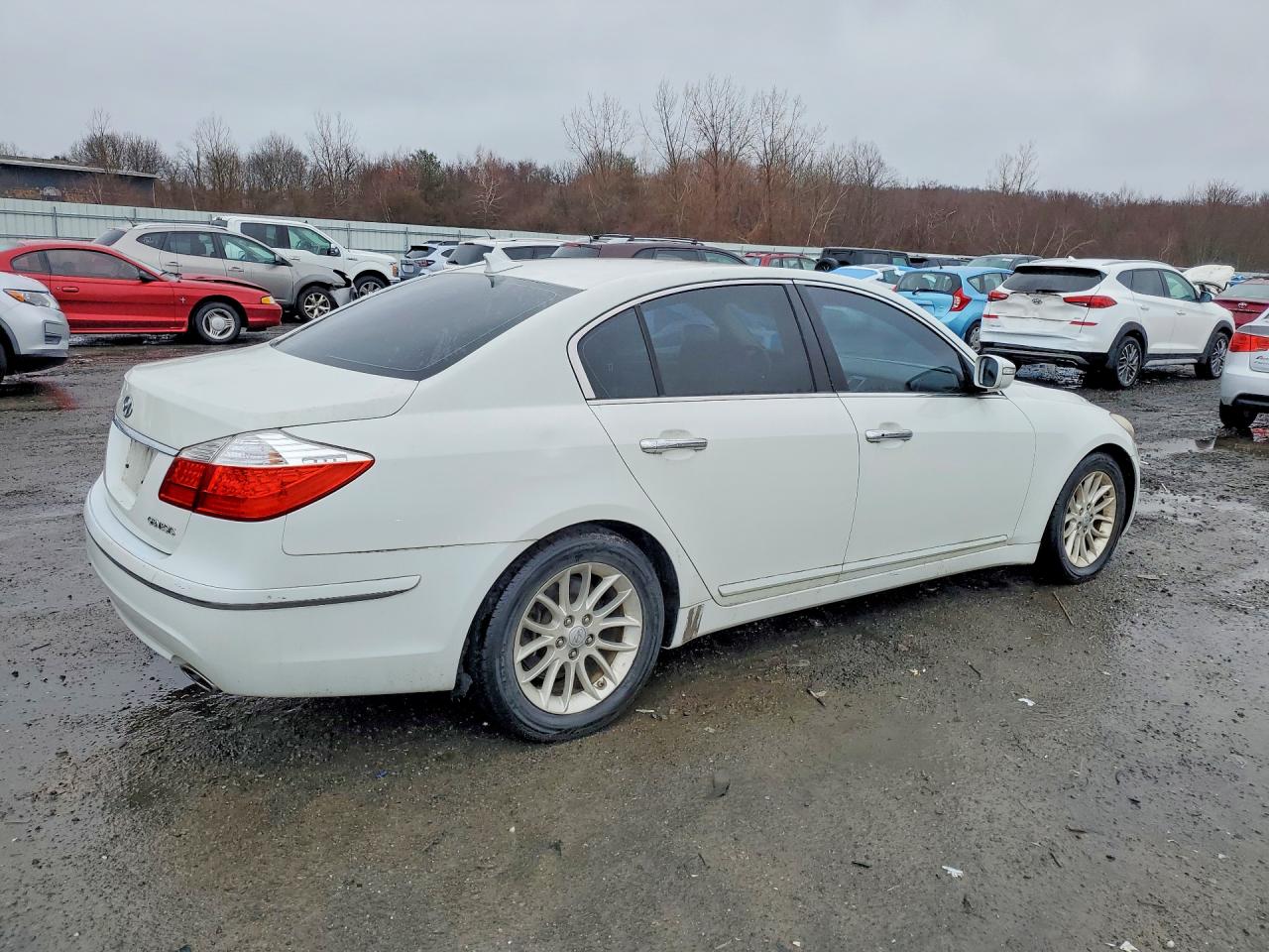 2009 Hyundai Genesis 3.8l White vin: KMHGC46E09U061026
