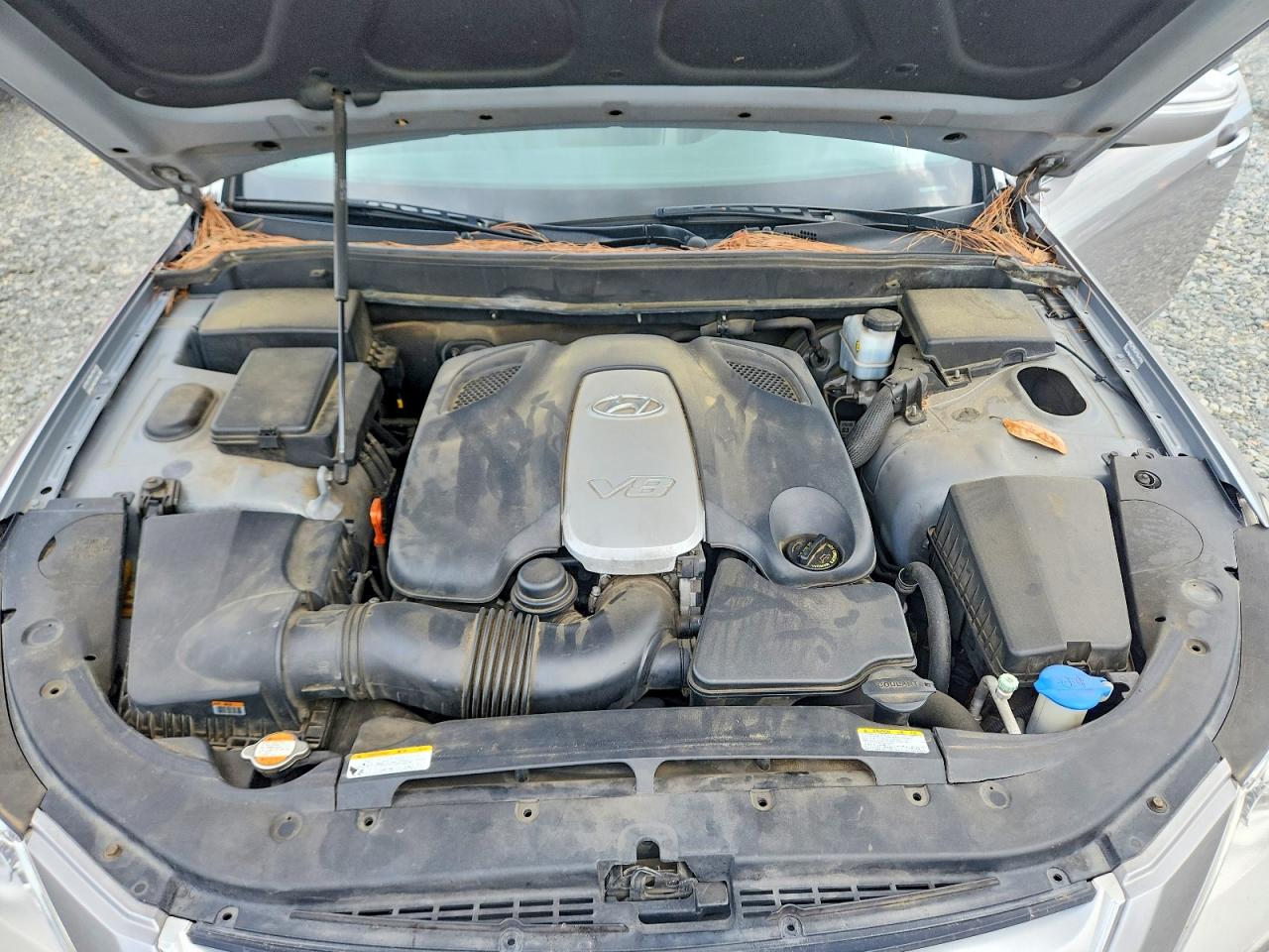 2009 Hyundai Genesis 4.6l Gray vin: KMHGC46F19U034457