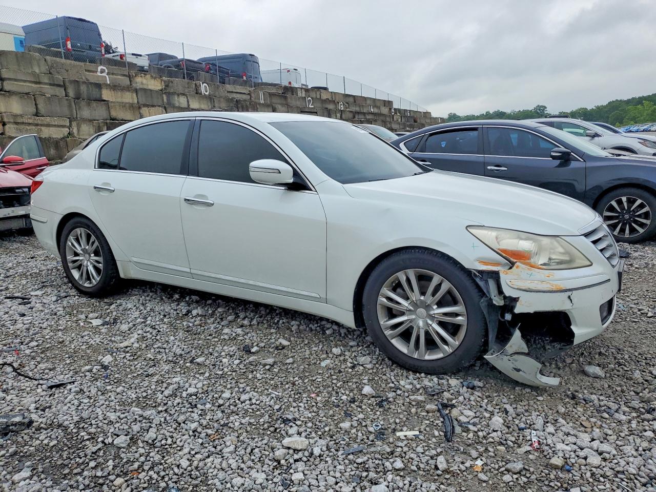 2010 Hyundai Genesis 3.8l White vin: KMHGC4DE4AU087152