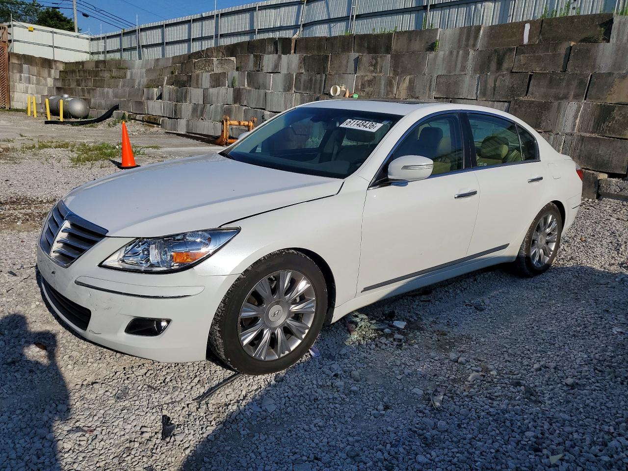 2011 Hyundai Genesis 3.8l White vin: KMHGC4DE6BU123084