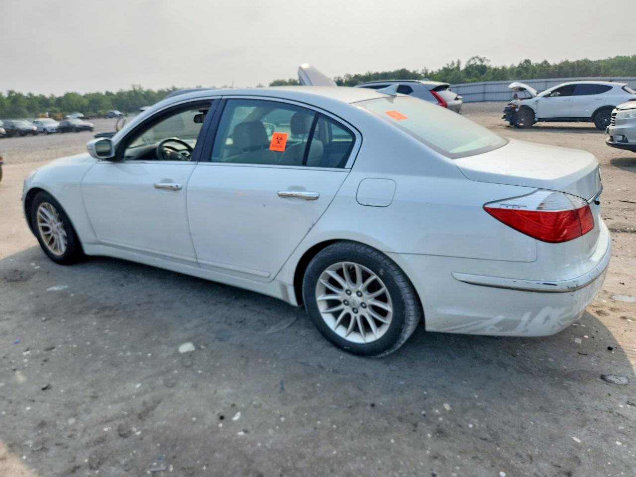 2011 Hyundai Genesis 3.8l White vin: KMHGC4DE7BU114913