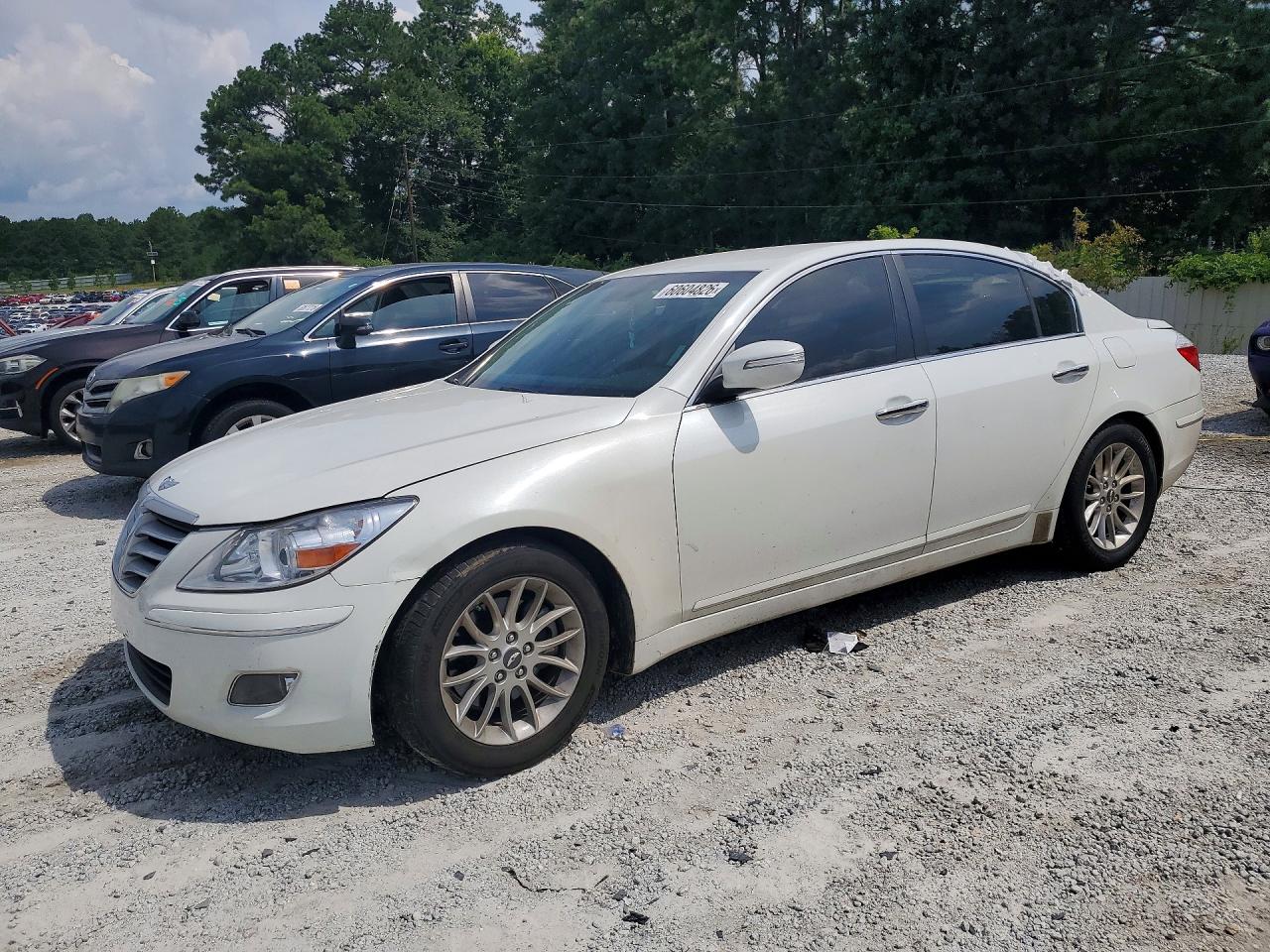 2010 Hyundai Genesis 3.8l White vin: KMHGC4DE8AU086862