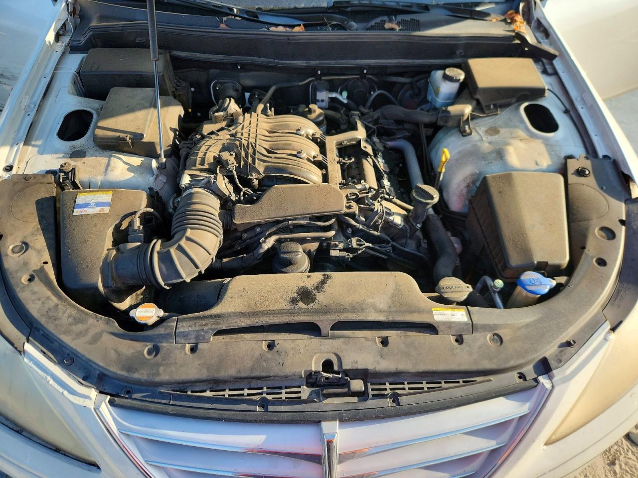 2011 Hyundai Genesis 3.8l White vin: KMHGC4DE8BU117559