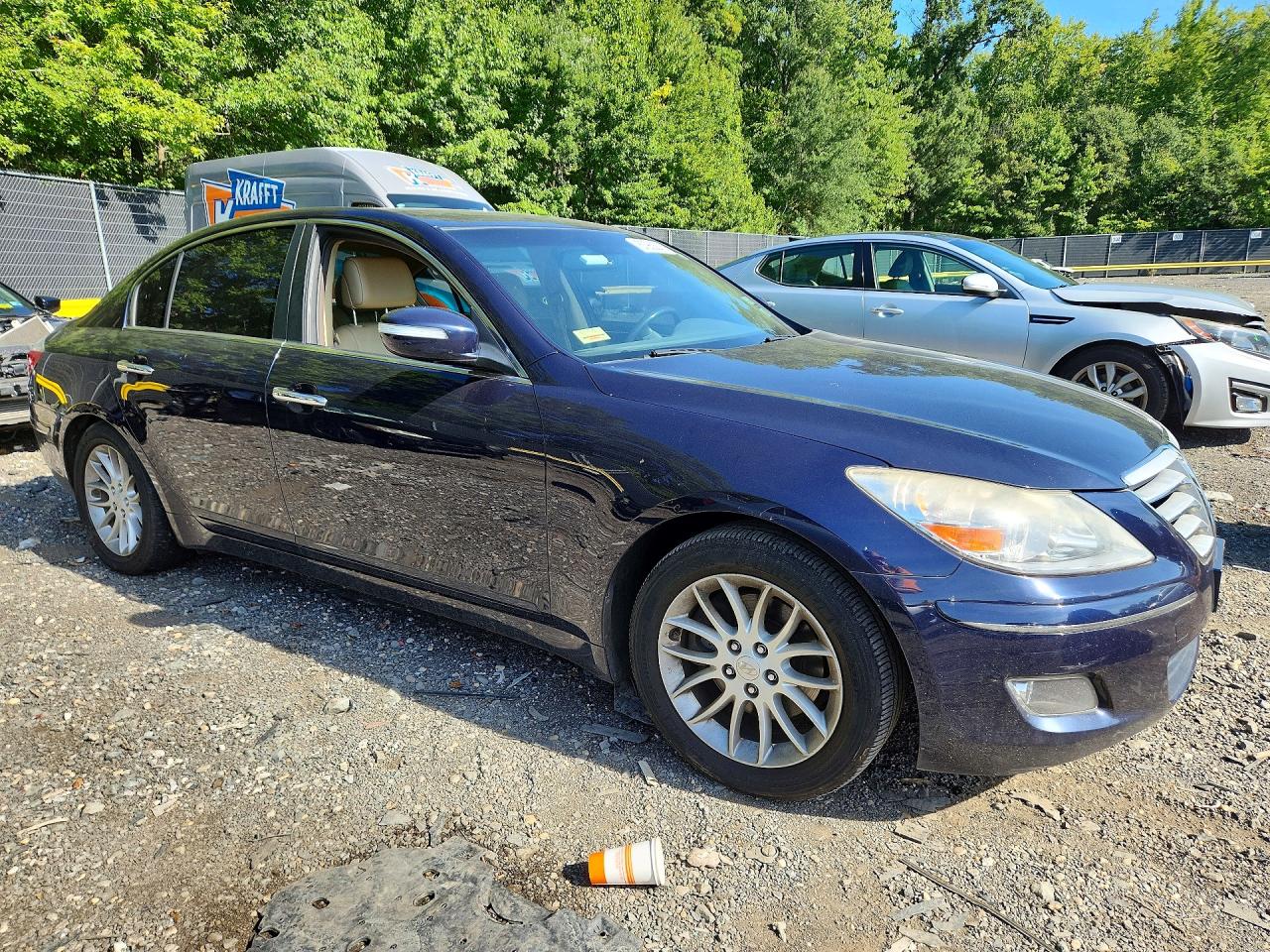 2010 Hyundai Genesis 3.8l Blue vin: KMHGC4DEXAU074874