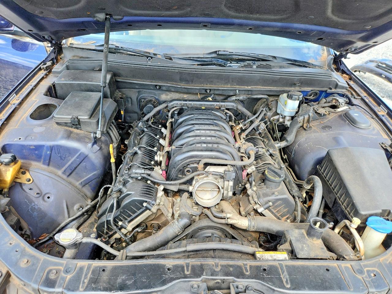 2010 Hyundai Genesis 4.6l Синий vin: KMHGC4DF1AU111075