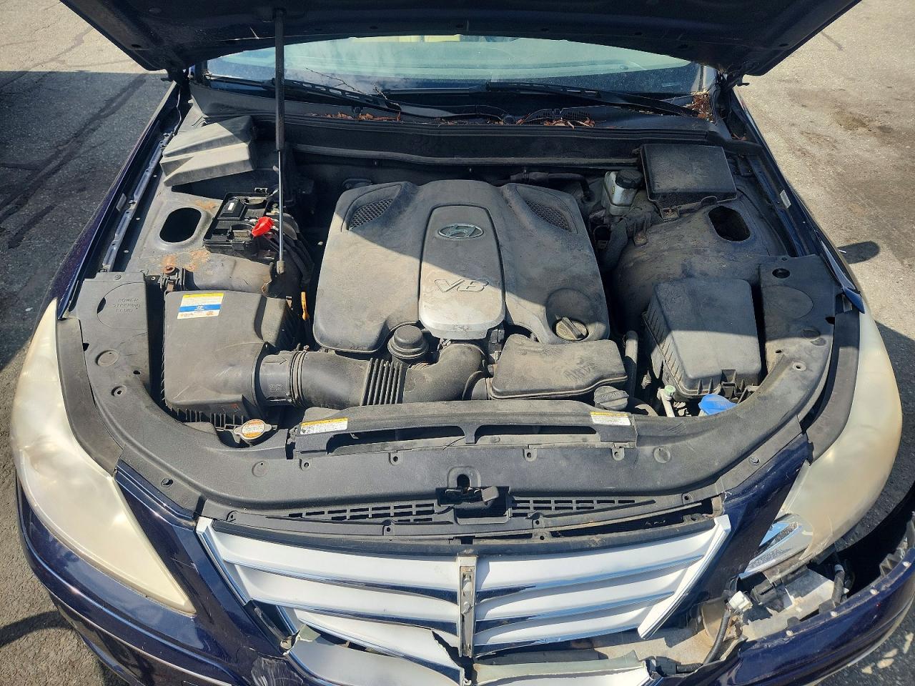 2010 Hyundai Genesis 4.6l Blue vin: KMHGC4DF2AU111070