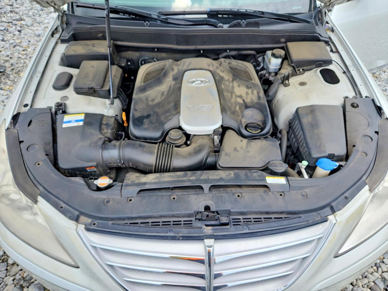 2010 Hyundai Genesis 4.6l White vin: KMHGC4DF5AU108101