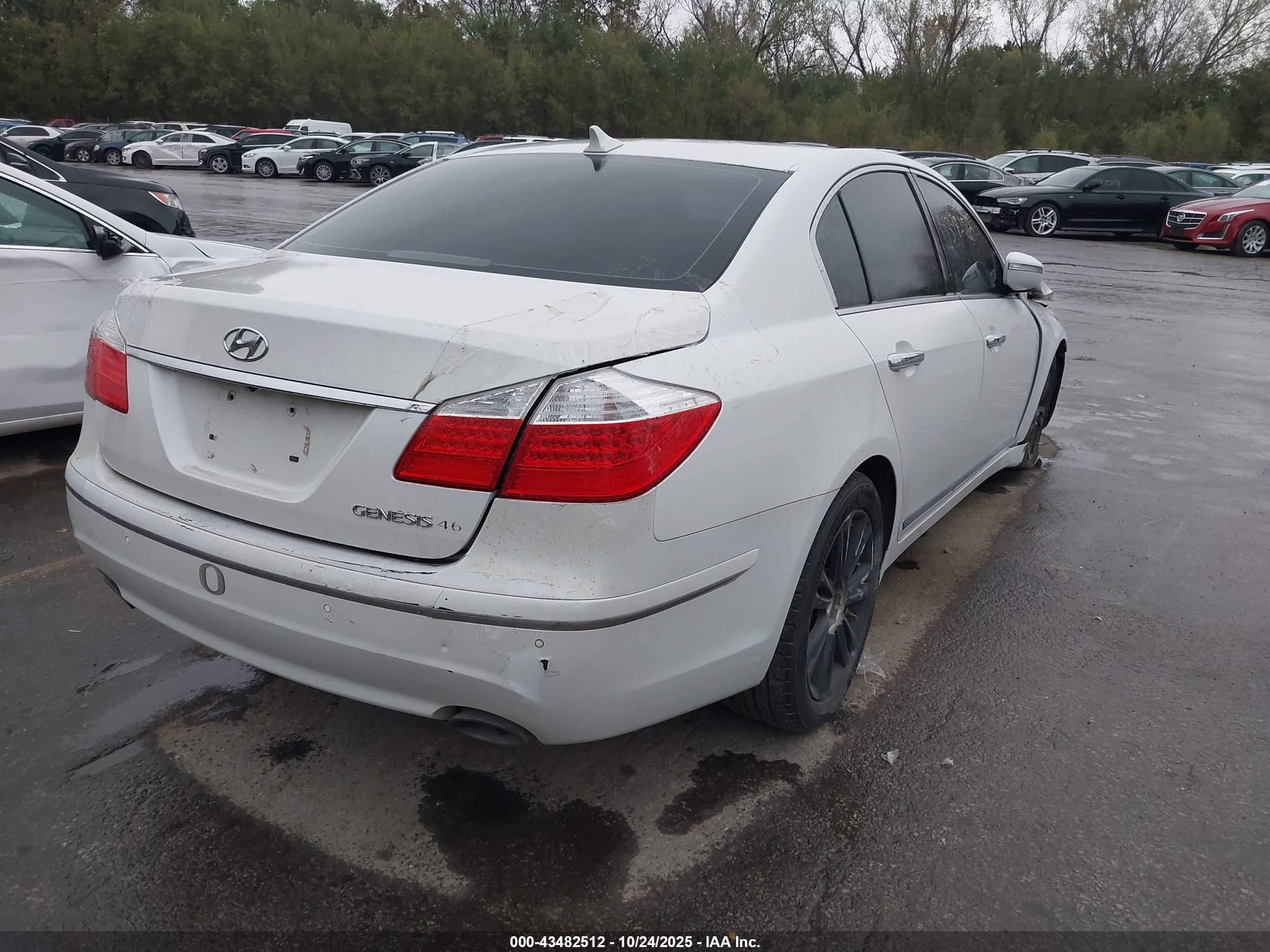 2011 Hyundai Genesis 4.6 Белый vin: KMHGC4DF5BU114384