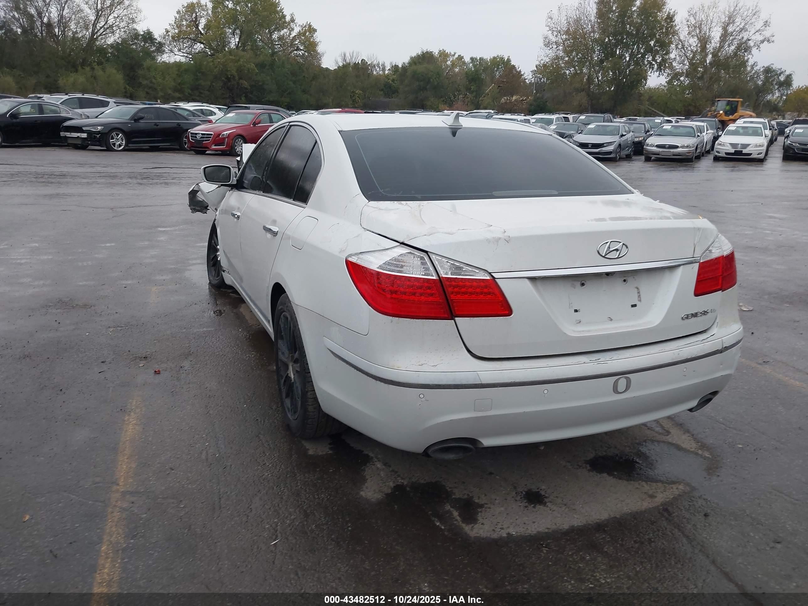 2011 Hyundai Genesis 4.6 Белый vin: KMHGC4DF5BU114384