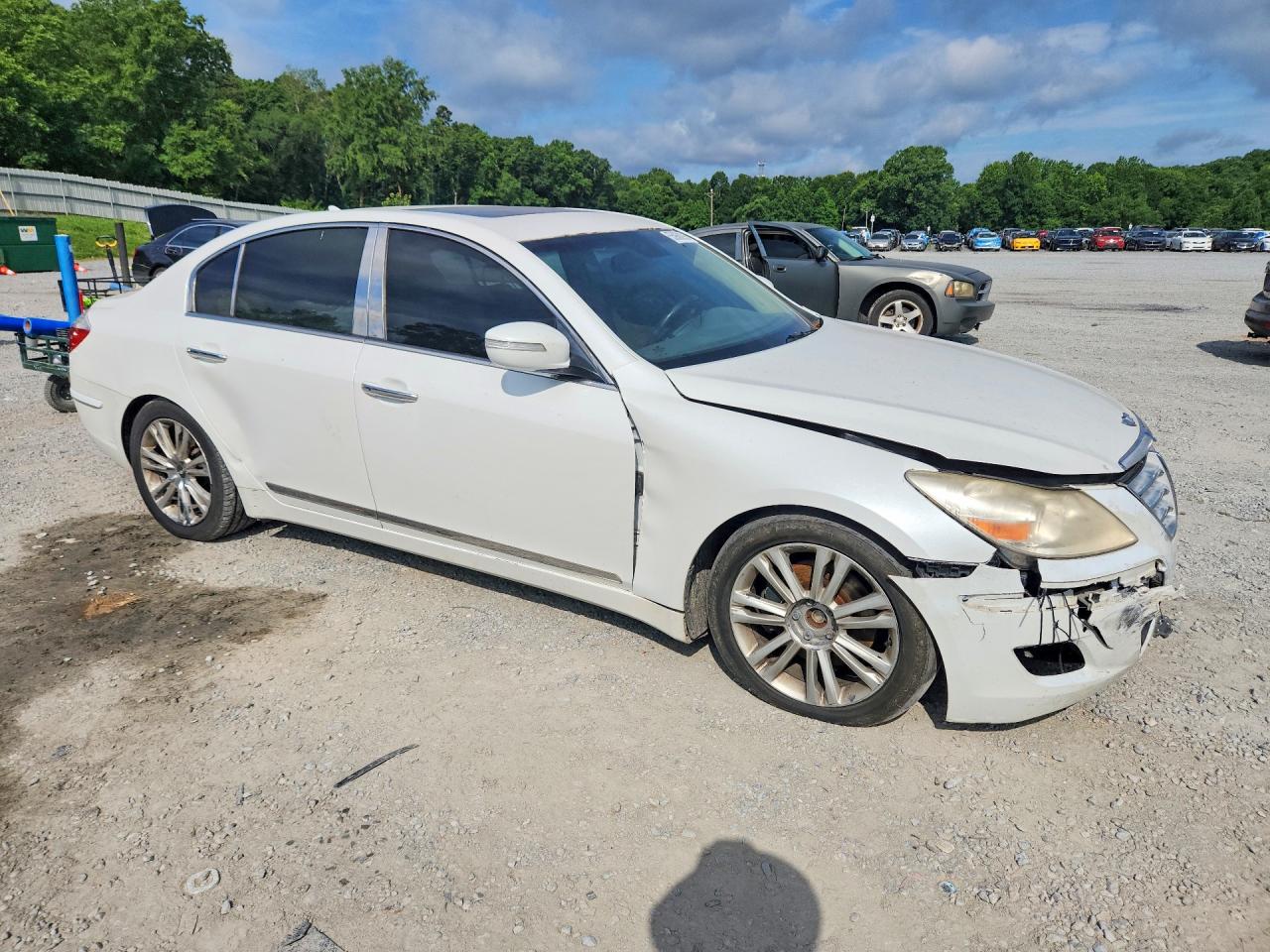 2011 Hyundai Genesis 4.6l Белый vin: KMHGC4DF9BU114033