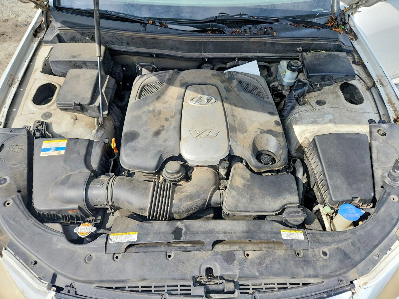 2011 Hyundai Genesis 4.6l Белый vin: KMHGC4DF9BU114033