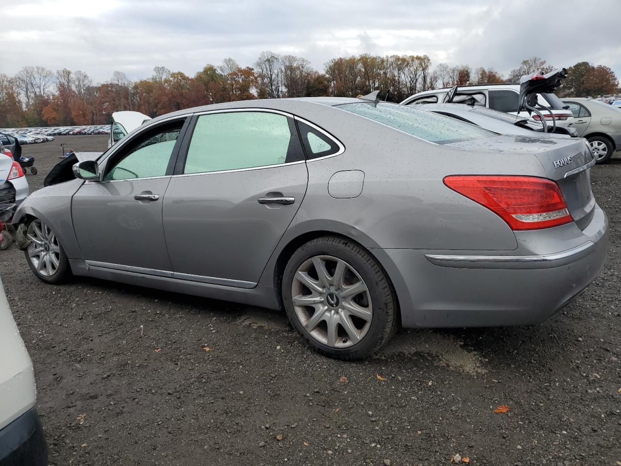2011 Hyundai Equus Signature Gray vin: KMHGH4JF4BU030045