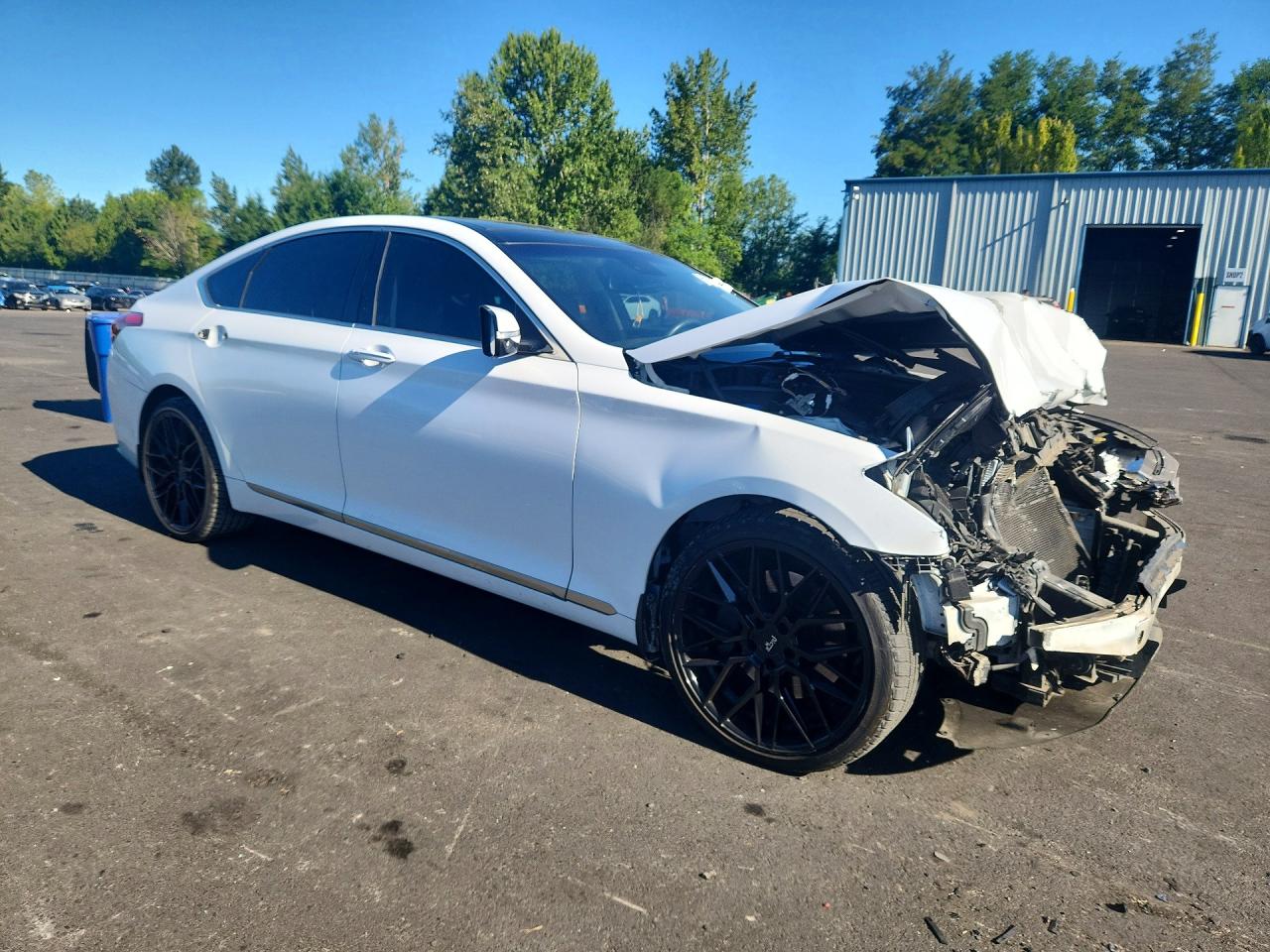 2015 Hyundai Genesis 3.8l Белый vin: KMHGN4JE3FU048980