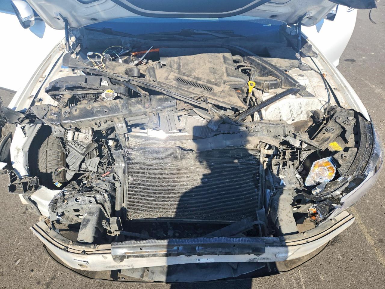 2015 Hyundai Genesis 3.8l Белый vin: KMHGN4JE3FU048980