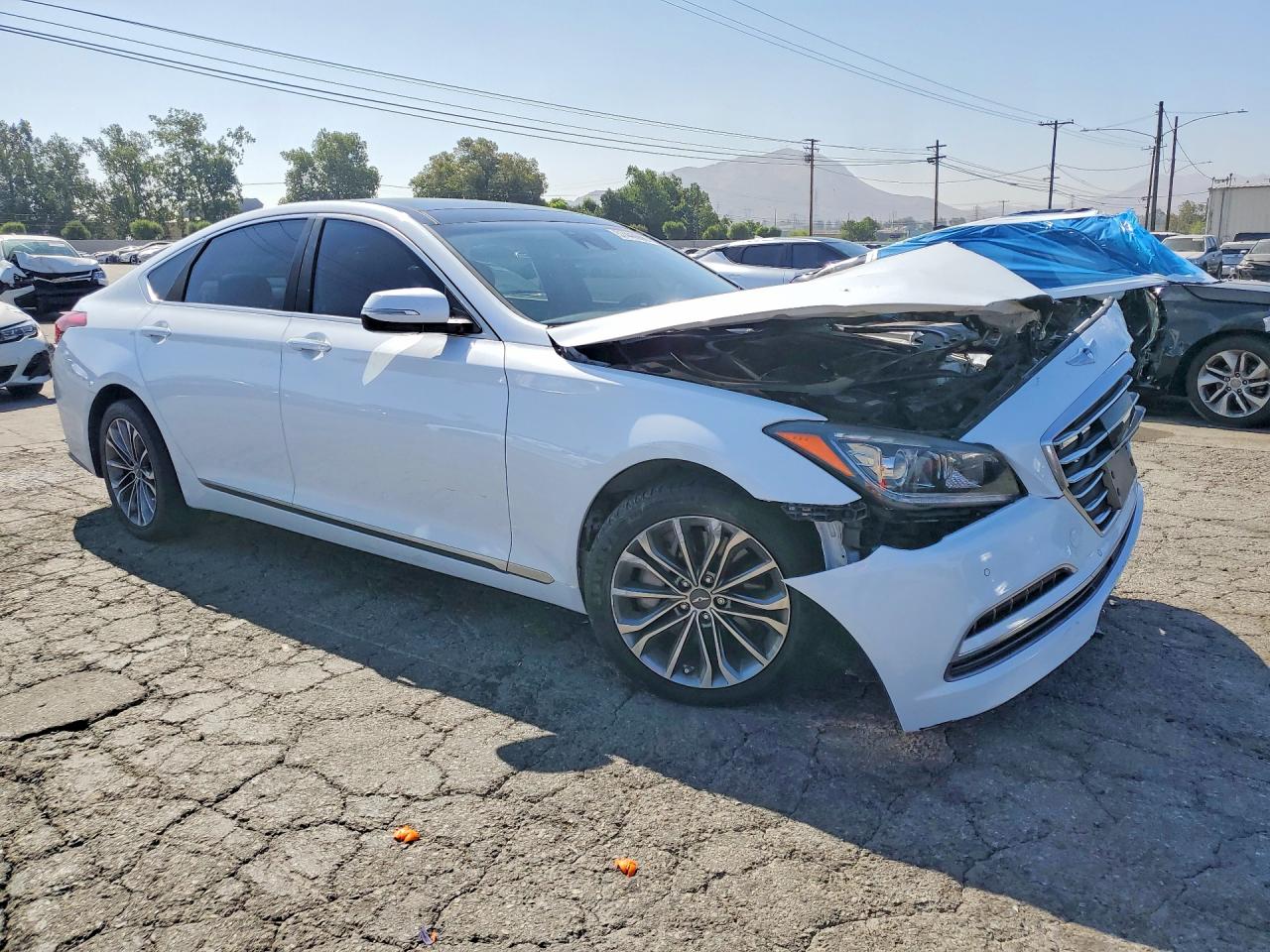 2015 Hyundai Genesis 3.8l White vin: KMHGN4JE8FU071056