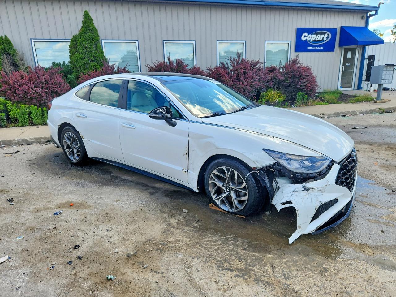 2021 Hyundai Sonata Sel Белый vin: KMHL14JA4MA153016