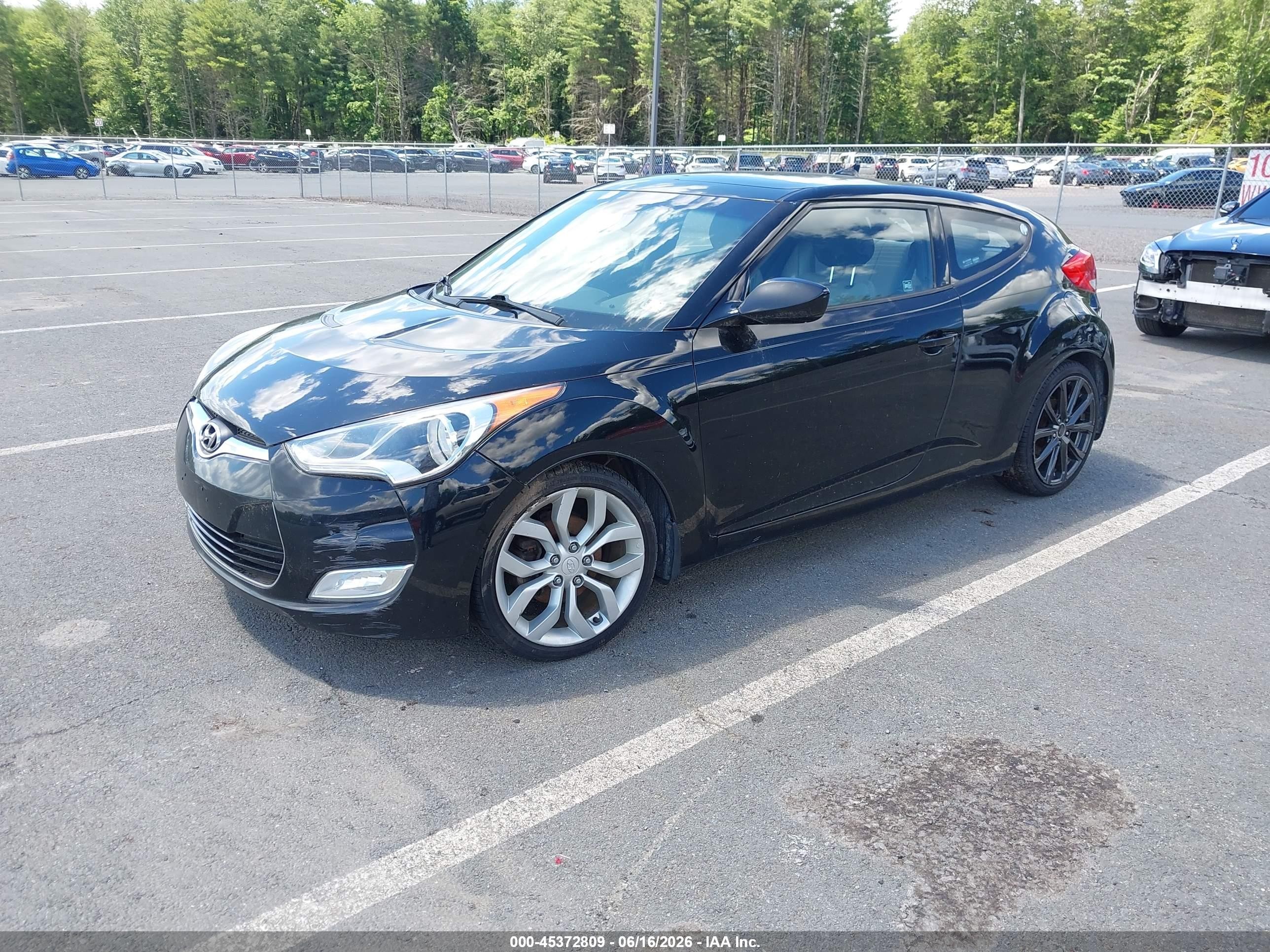 2013 Hyundai Veloster Base W/gray Черный vin: KMHTC6AD2DU117193