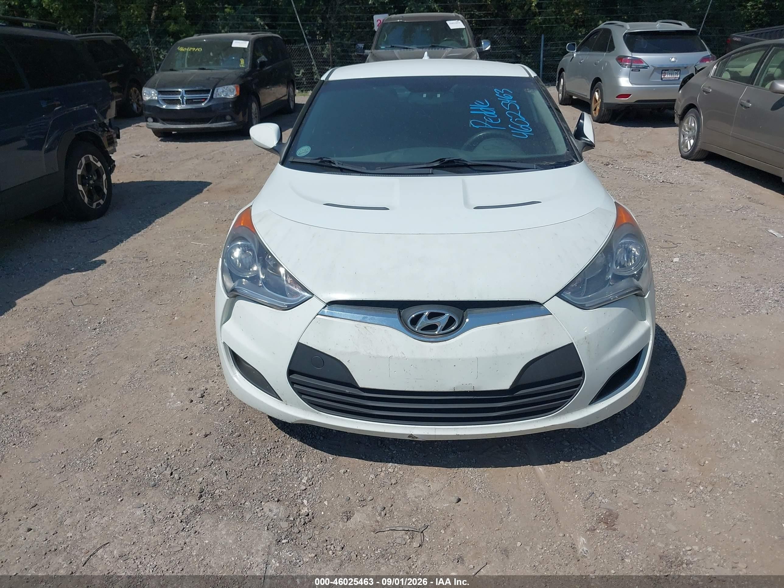 2013 Hyundai Veloster Base W/black Белый vin: KMHTC6AD5DU094816