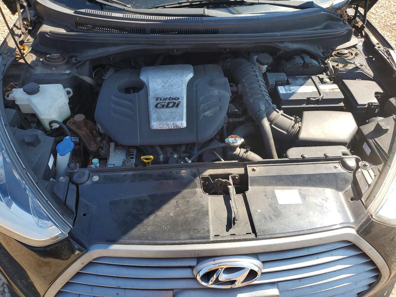 2013 Hyundai Veloster Turbo Black vin: KMHTC6AE8DU126957