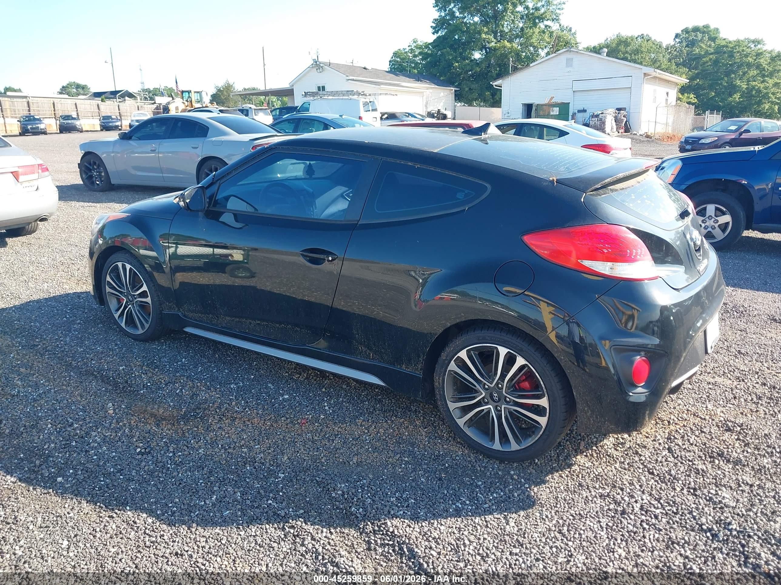 2016 Hyundai Veloster Turbo Black vin: KMHTC6AE9GU264351