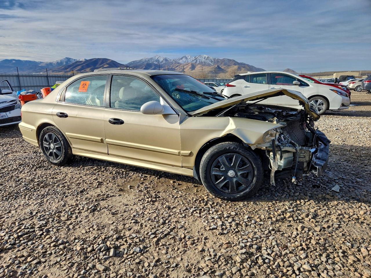2002 Hyundai Sonata Base Tan vin: KMHWF25S42A668777