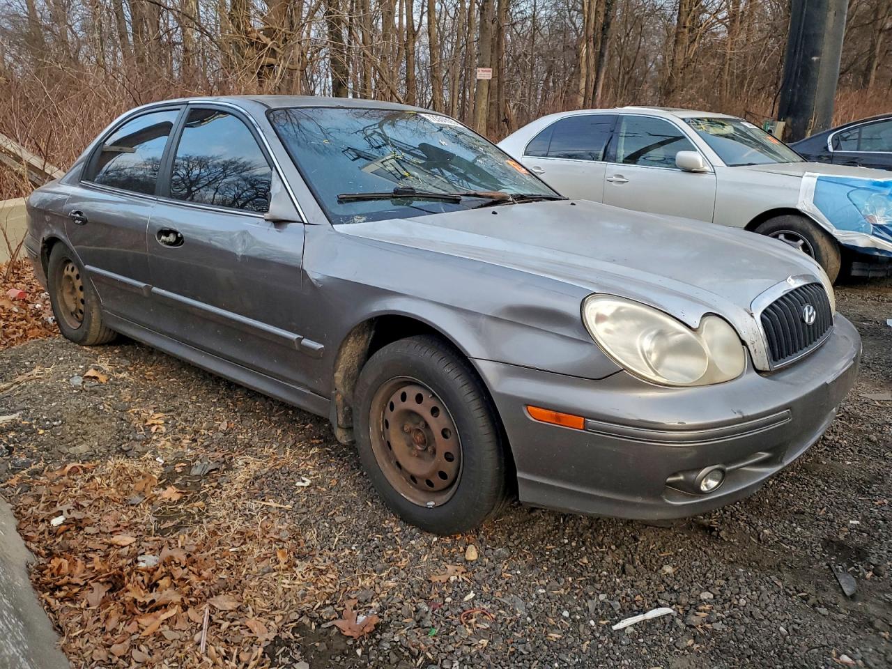 2003 Hyundai Sonata Gl Gray vin: KMHWF25S93A759268
