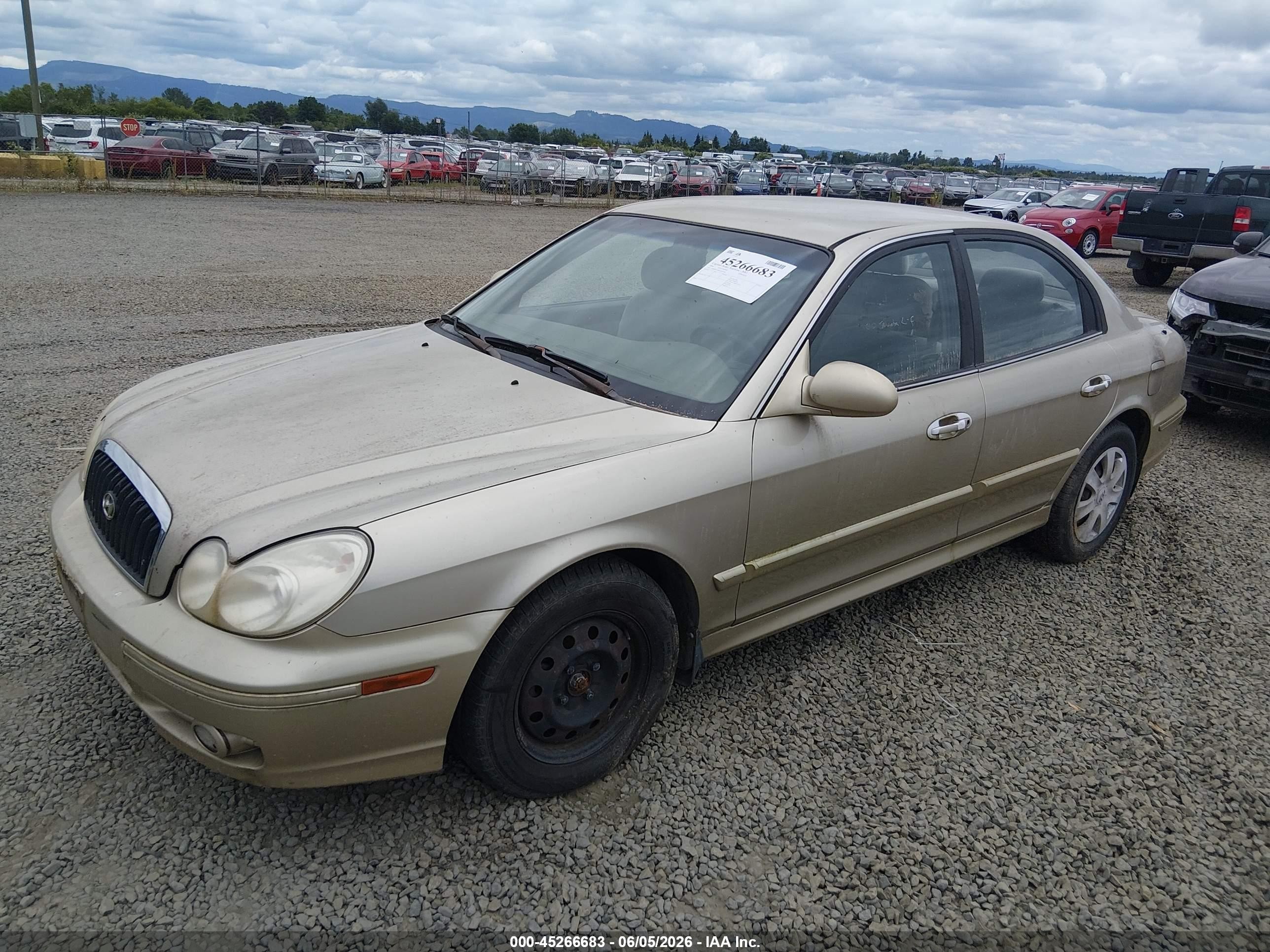 2004 Hyundai Sonata Золотой vin: KMHWF25SX4A090302