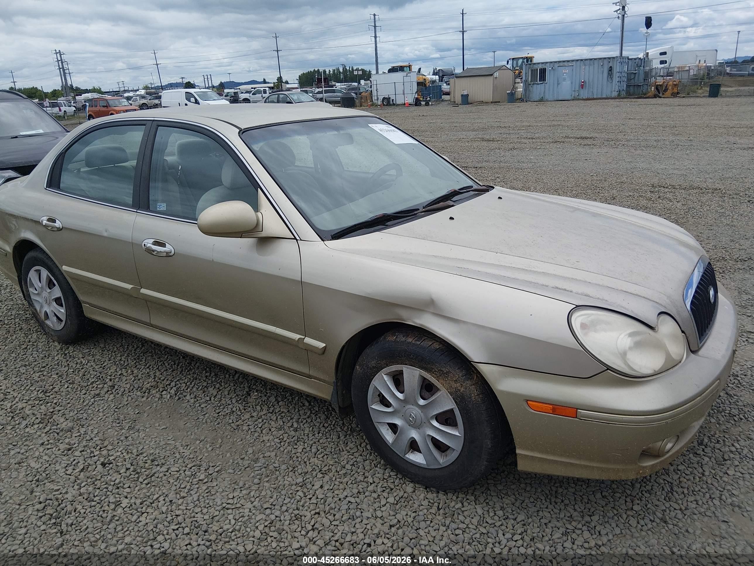 2004 Hyundai Sonata Золотой vin: KMHWF25SX4A090302