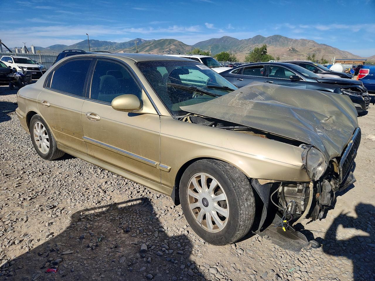 2002 Hyundai Sonata Gls Tan vin: KMHWF35H02A573126