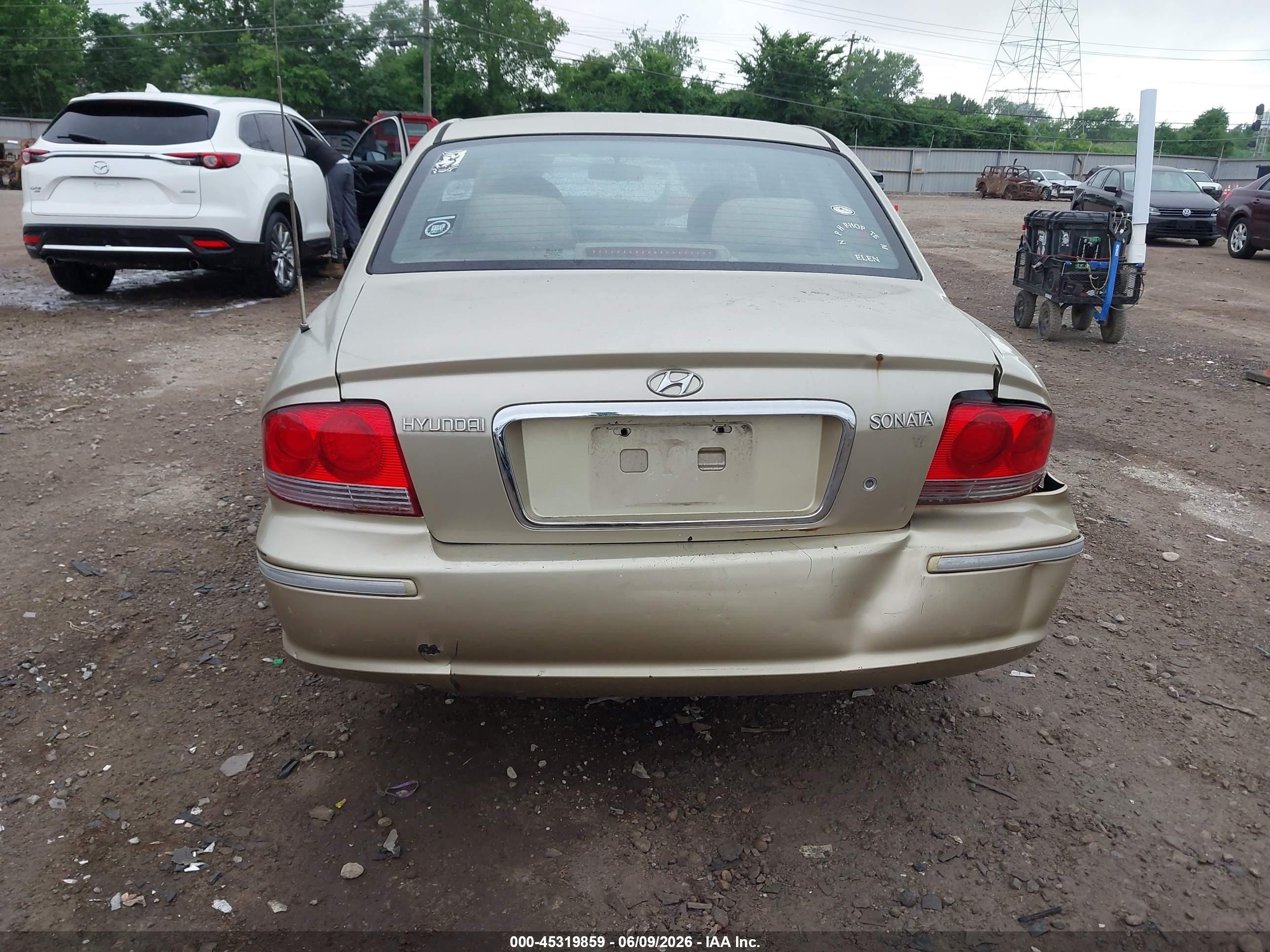 2004 Hyundai Sonata Gls/lx Gold vin: KMHWF35H24A018343
