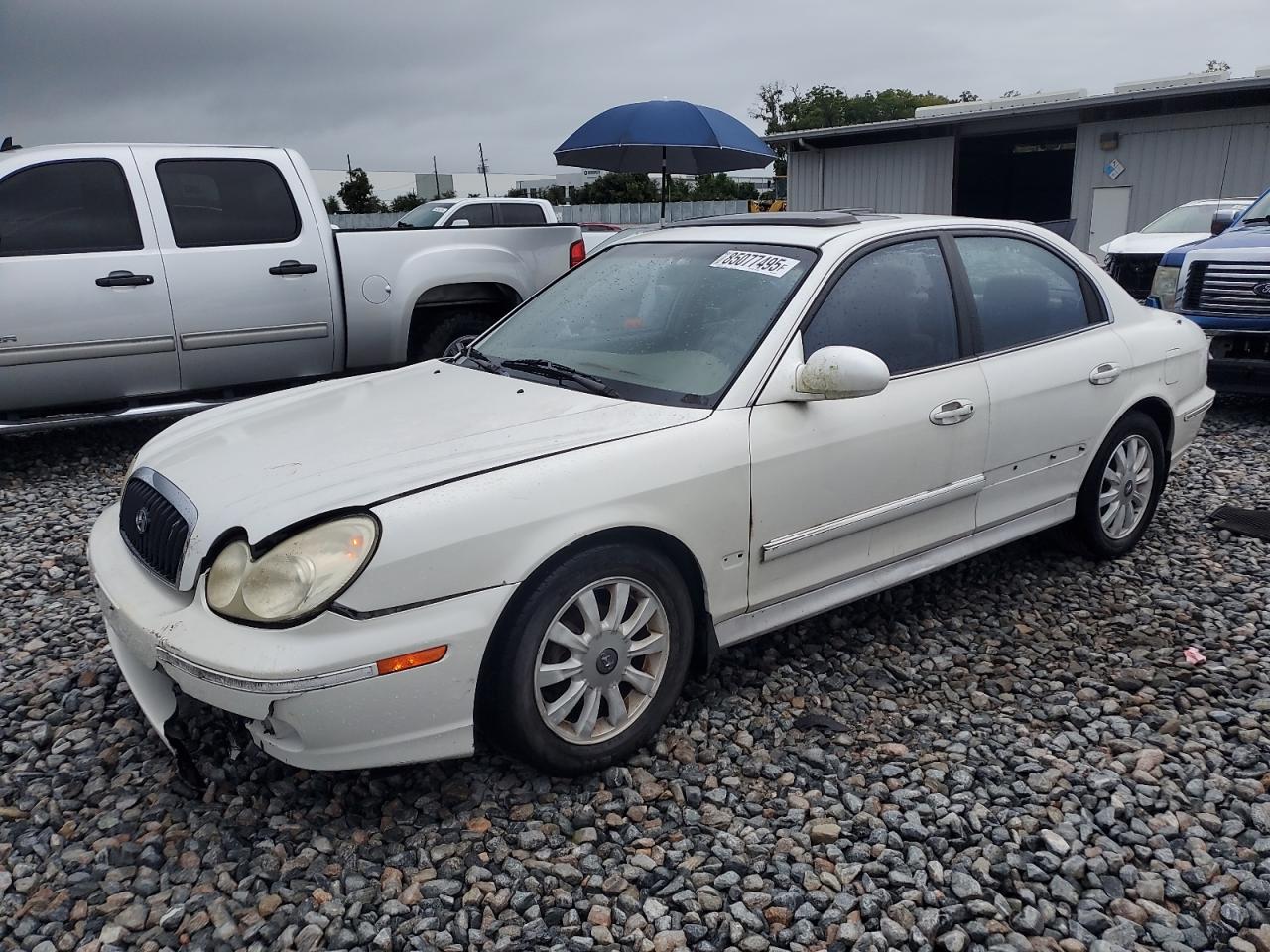 2002 Hyundai Sonata Gls White vin: KMHWF35H32A652192