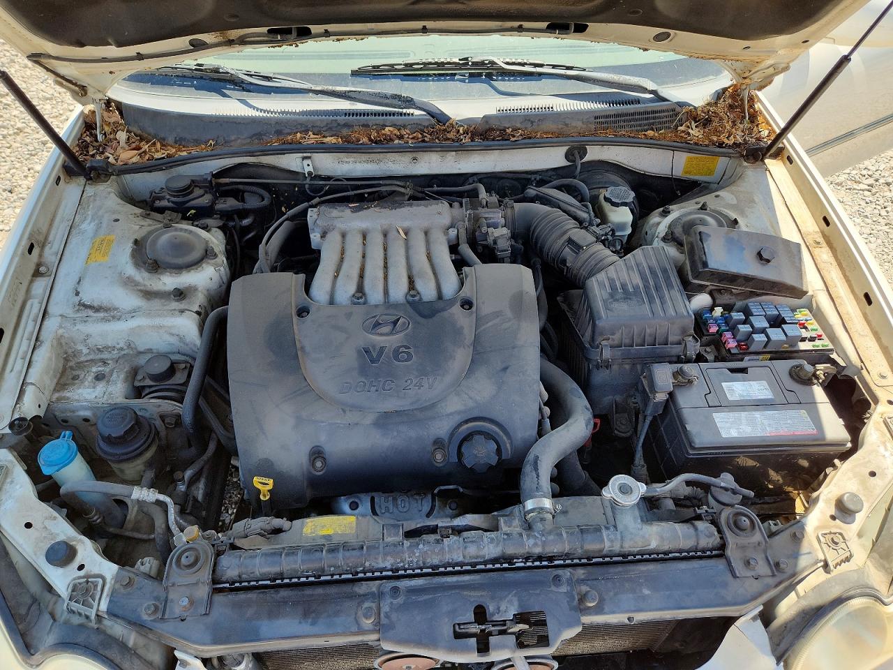 2003 Hyundai Sonata Gls White vin: KMHWF35H43A838437