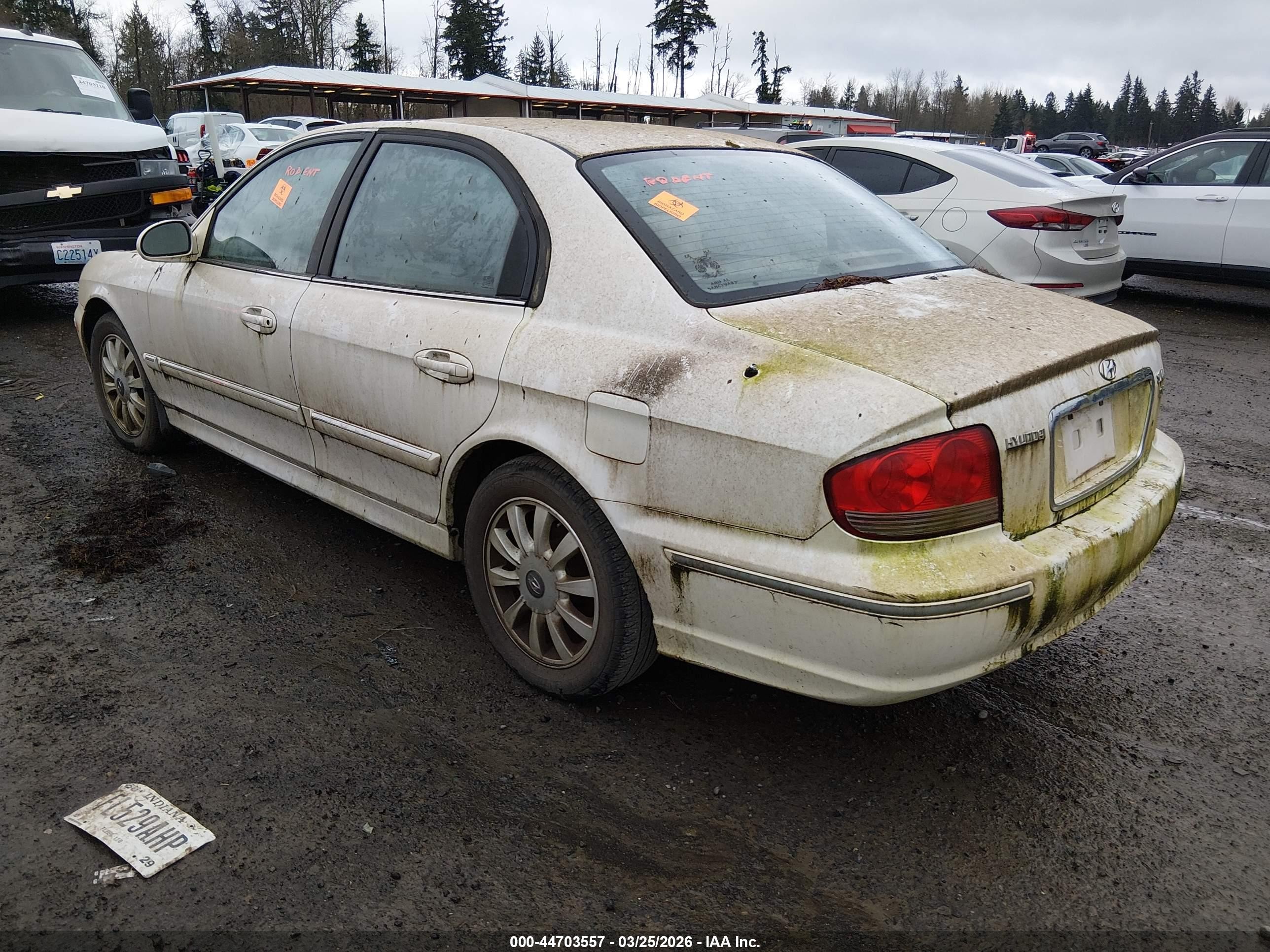 2002 Hyundai Sonata Gls/lx White vin: KMHWF35H72A611953