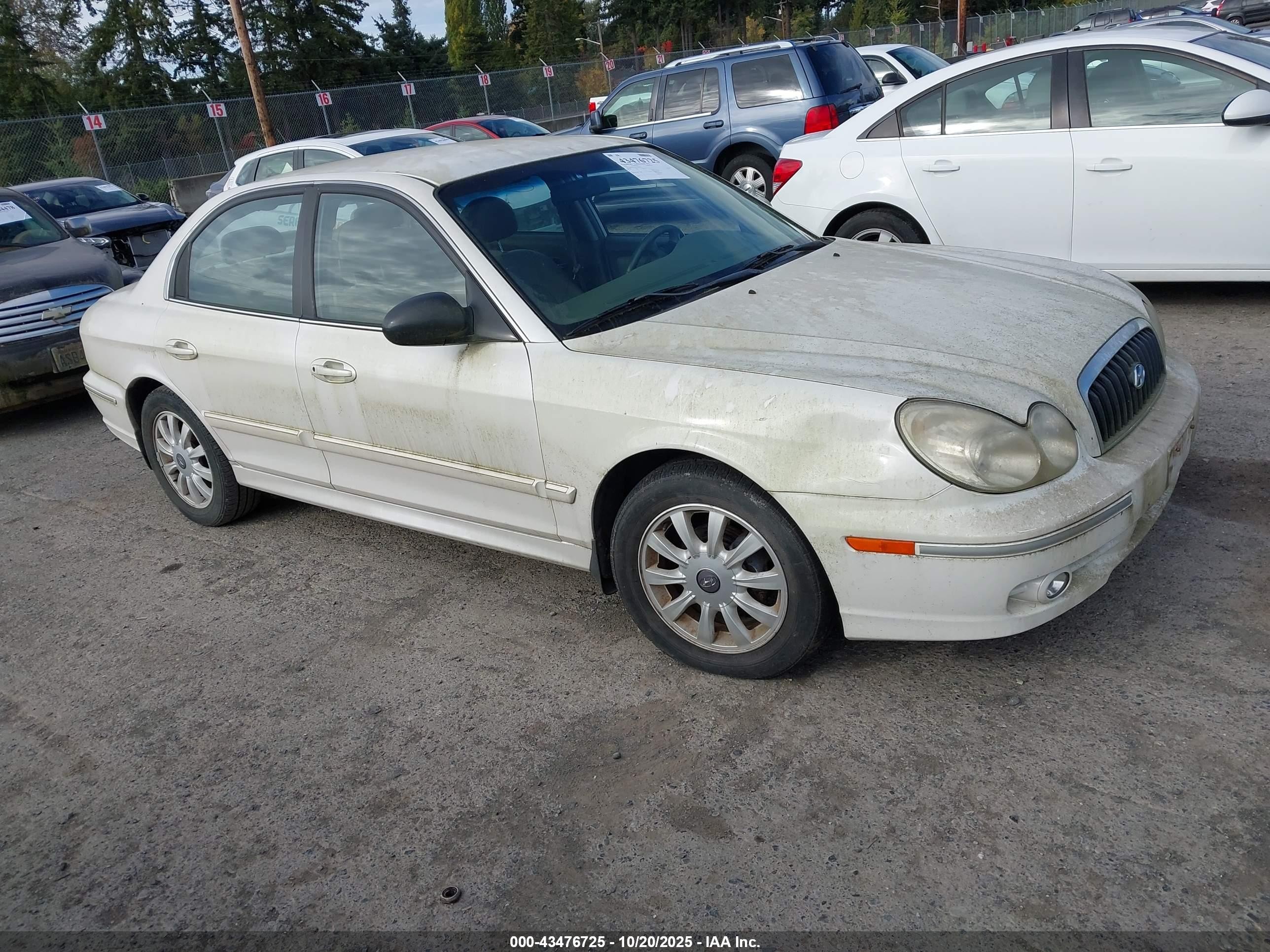 2002 Hyundai Sonata Gls/lx White vin: KMHWF35HX2A606066