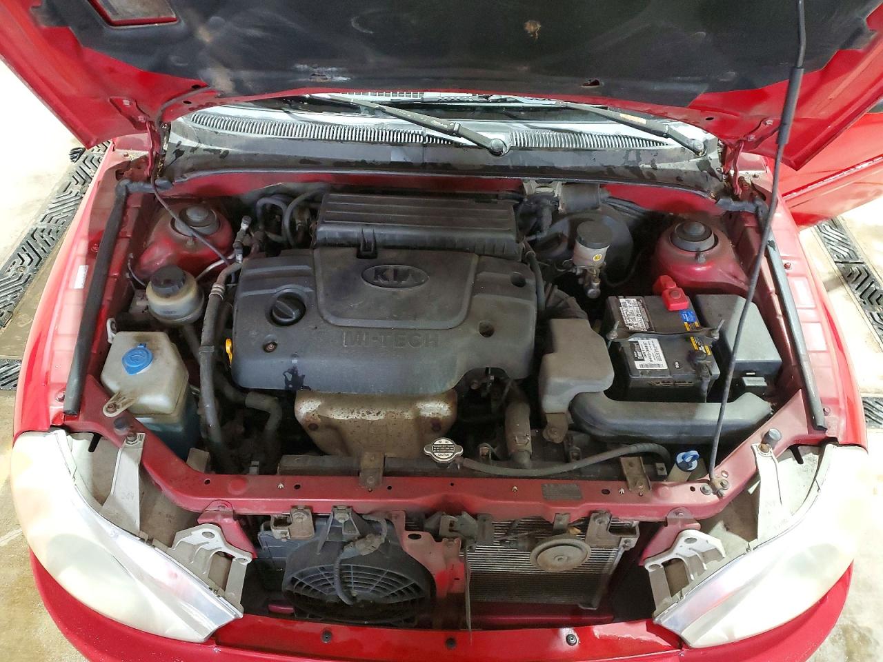 2002 Kia Rio Base Red vin: KNADC123126175702