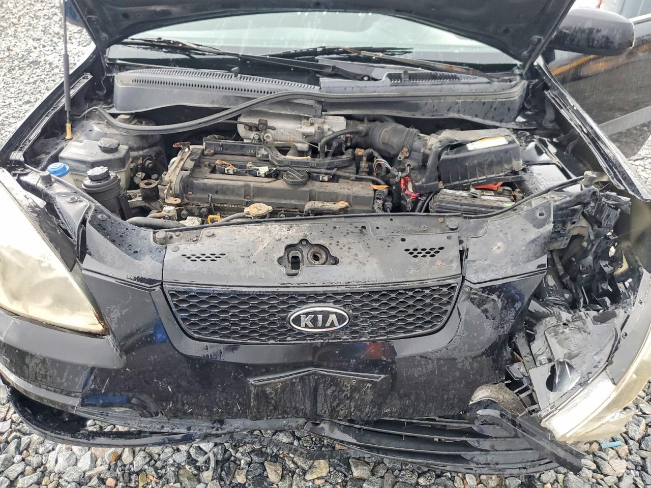 2006 Kia Rio Base Black vin: KNADE123166136575