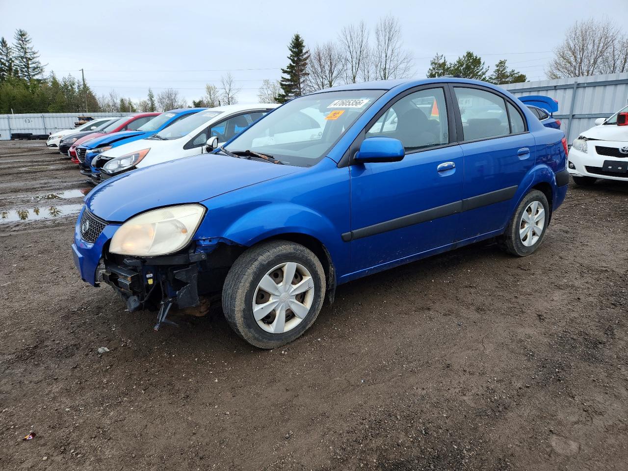 2006 Kia Rio Base Blue vin: KNADE123X66060841