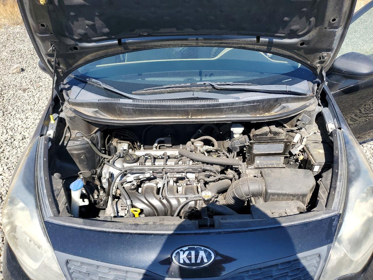 2014 Kia Rio Lx Black vin: KNADM4A34E6333518