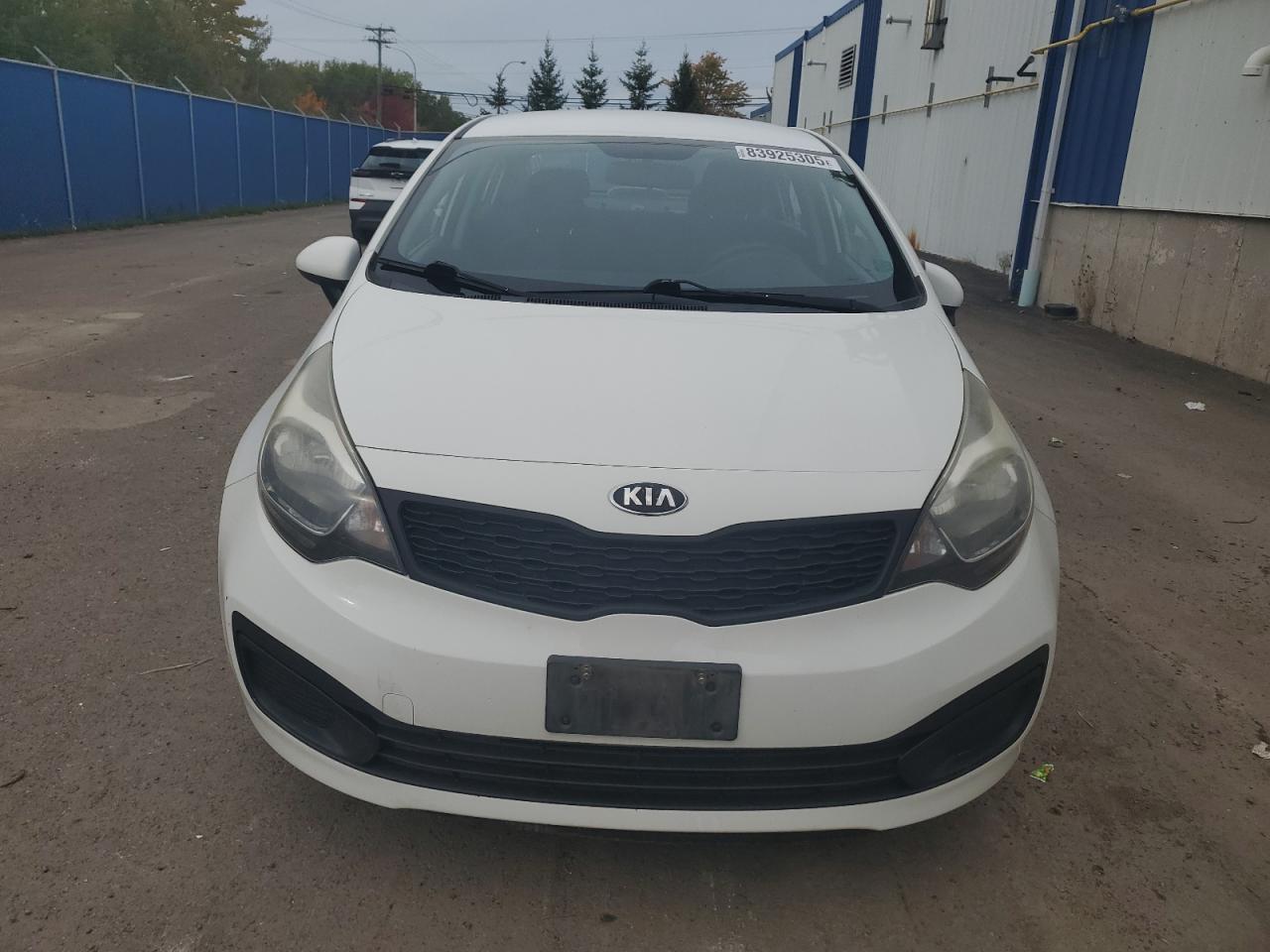2015 Kia Rio Lx White vin: KNADM4A34F6455815
