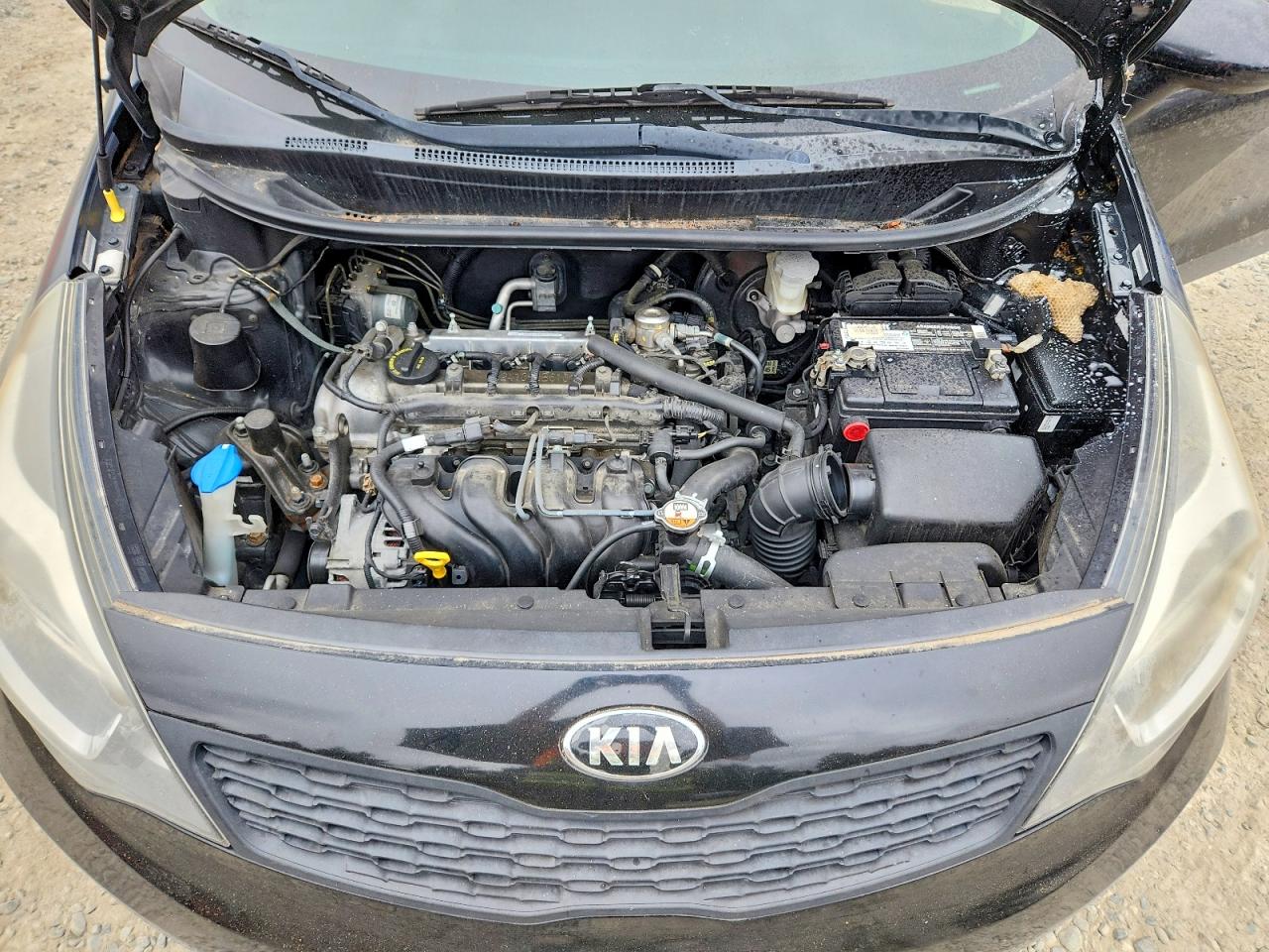 2015 Kia Rio Lx Black vin: KNADM4A34F6459847