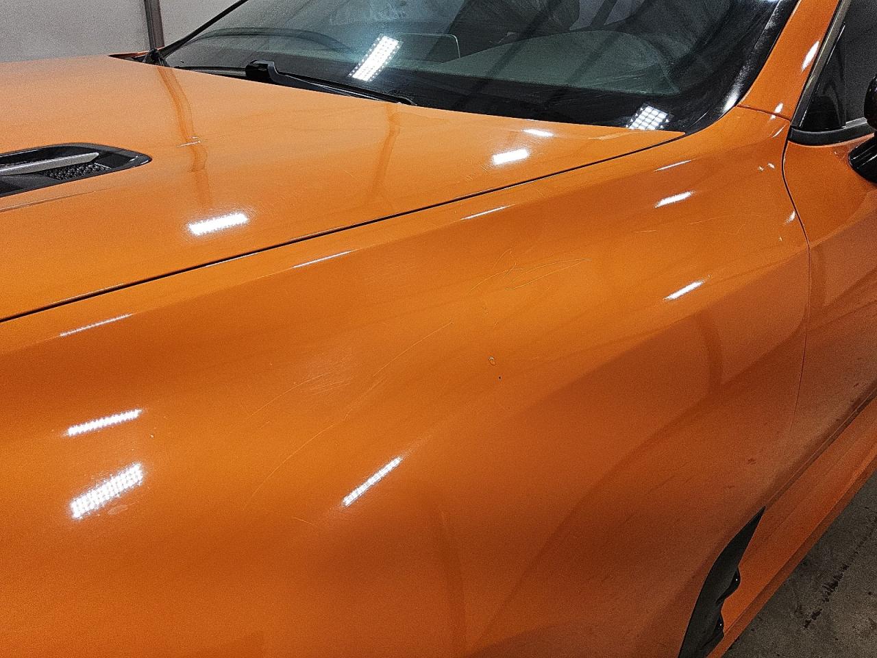 2019 Kia Stinger Gt Orange vin: KNAE35LC4K6069240 Damage: Left Front Fender, Heavy Scratch, > 12 Inches